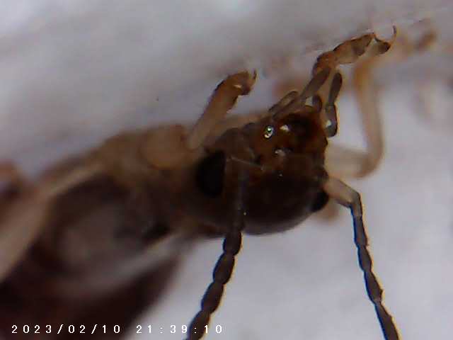 immagine di galleria