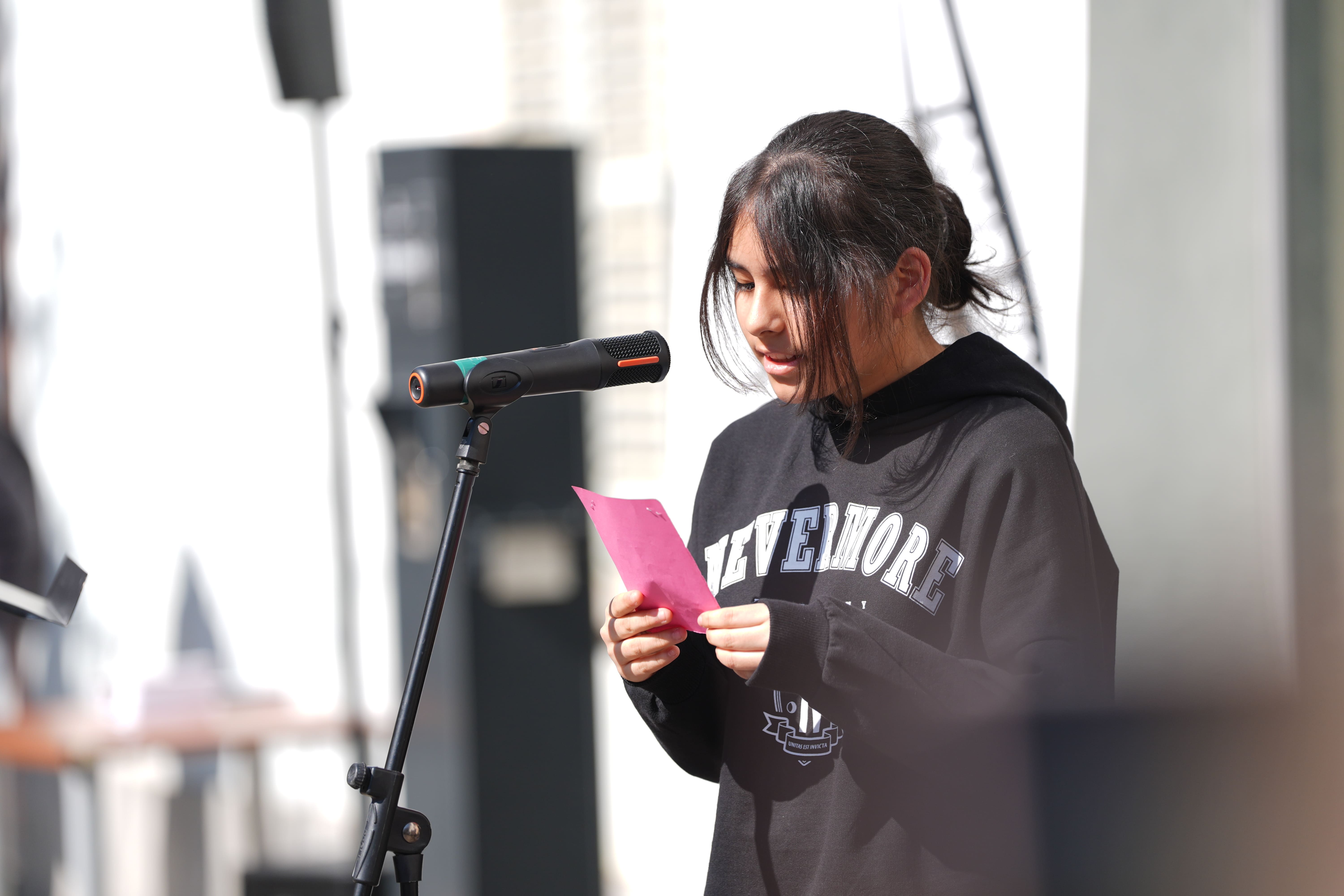 immagine di galleria