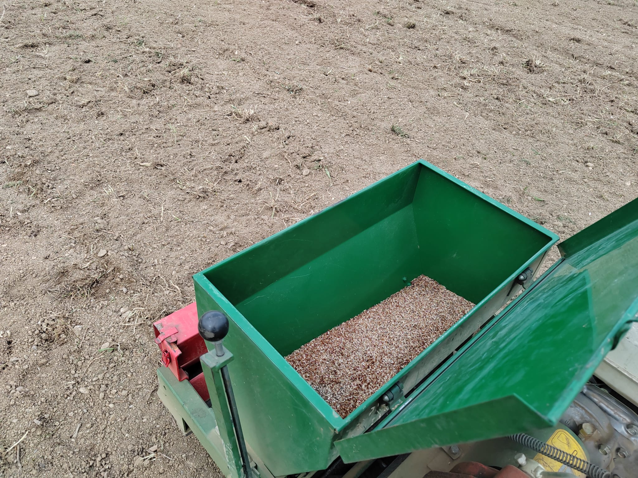 immagine di galleria