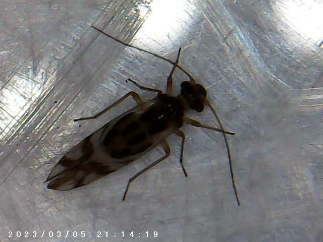 immagine di galleria