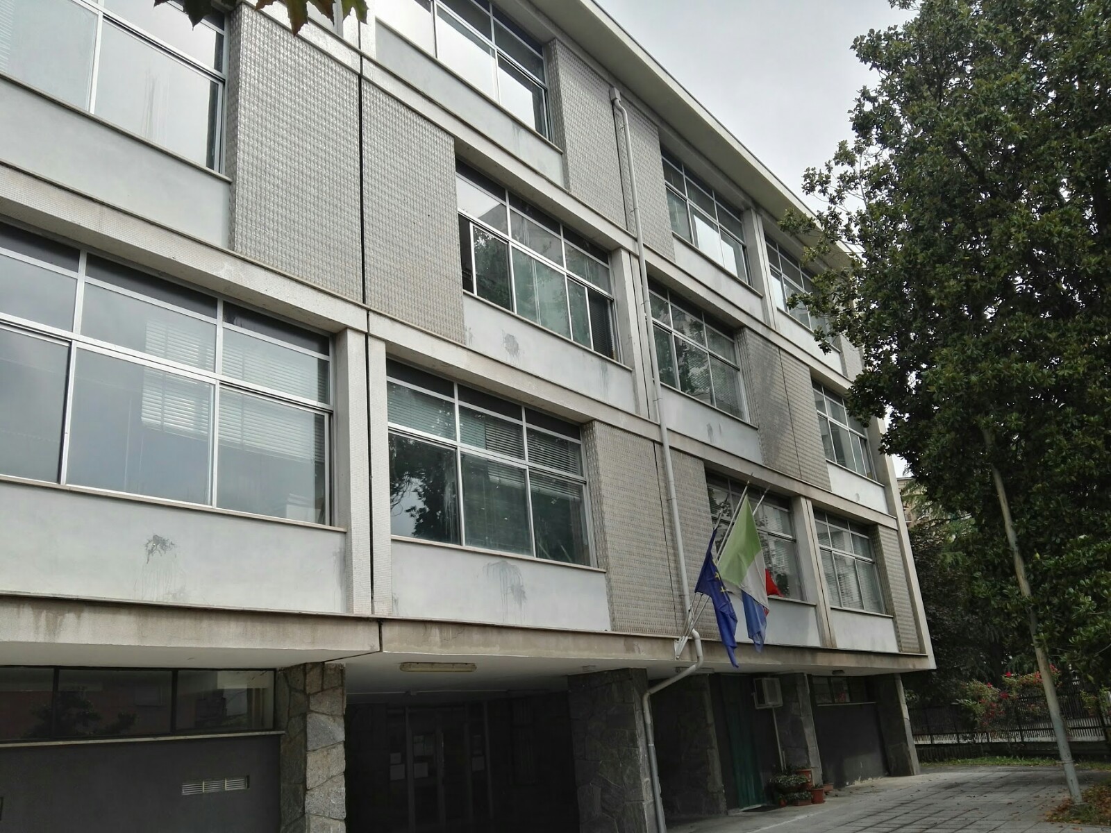 immagine di galleria