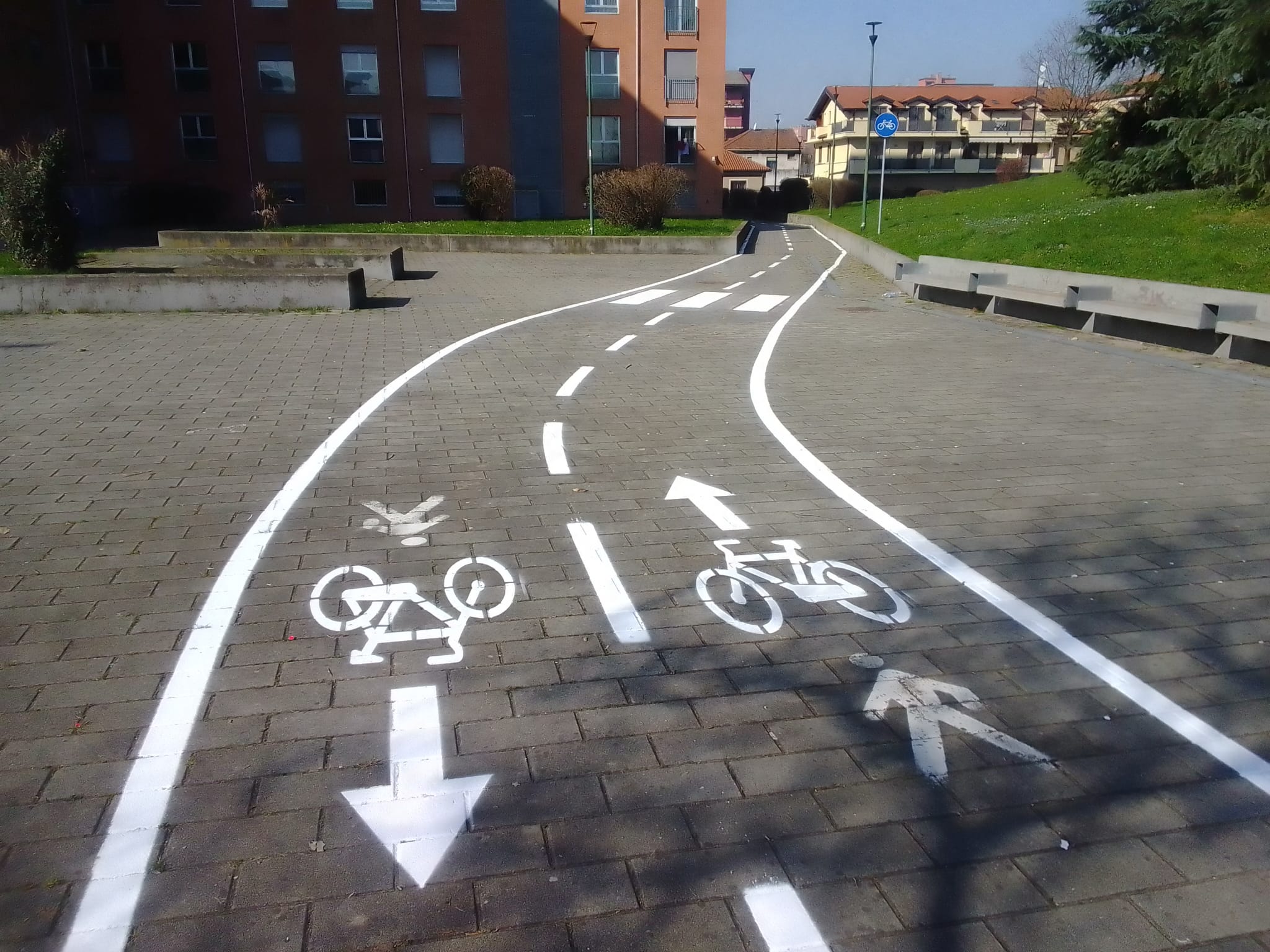 immagine di galleria 'Bicipolitana: la ciclabile di collegamento con il polo universitario di via Adamello'