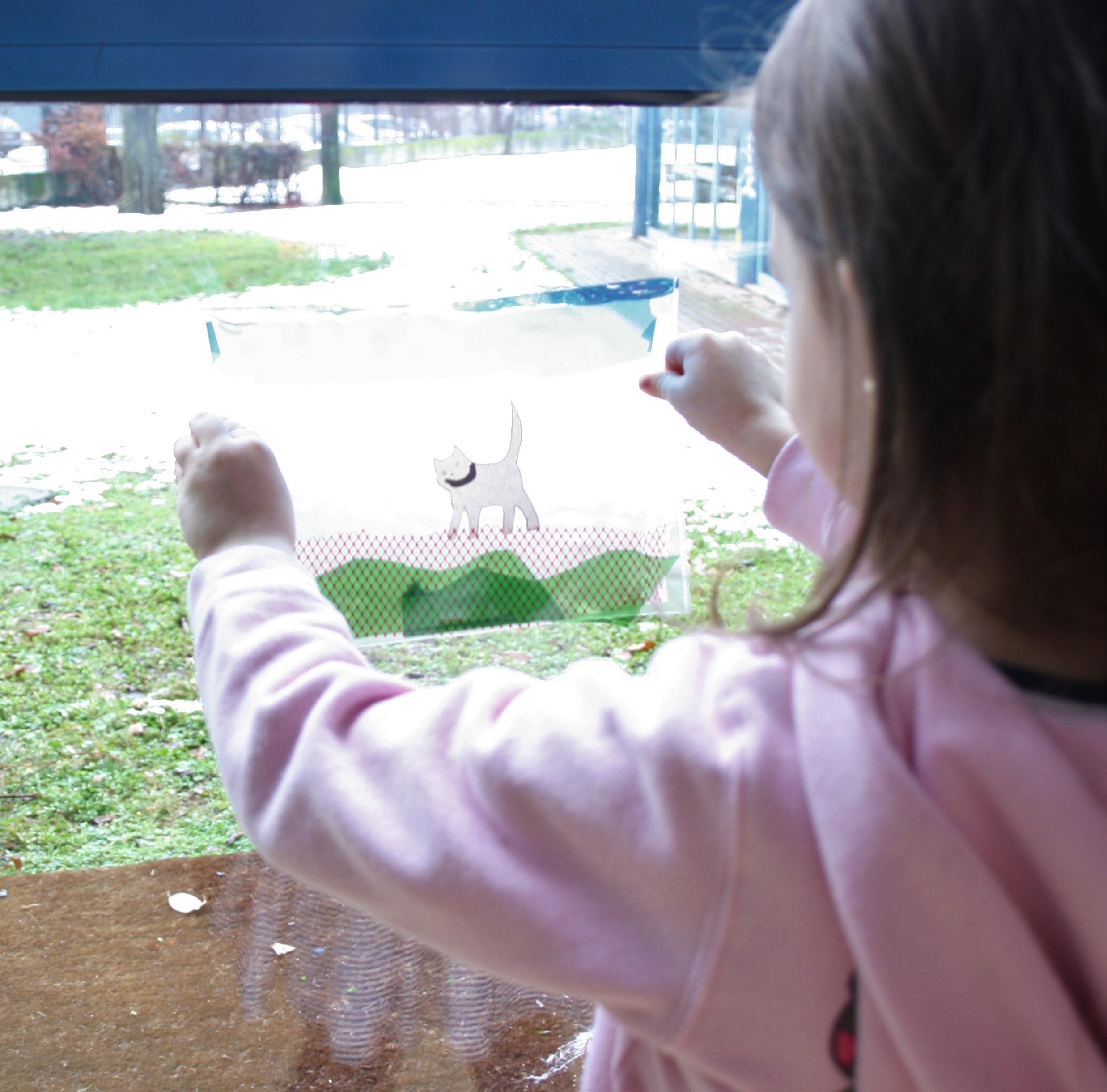 immagine di galleria