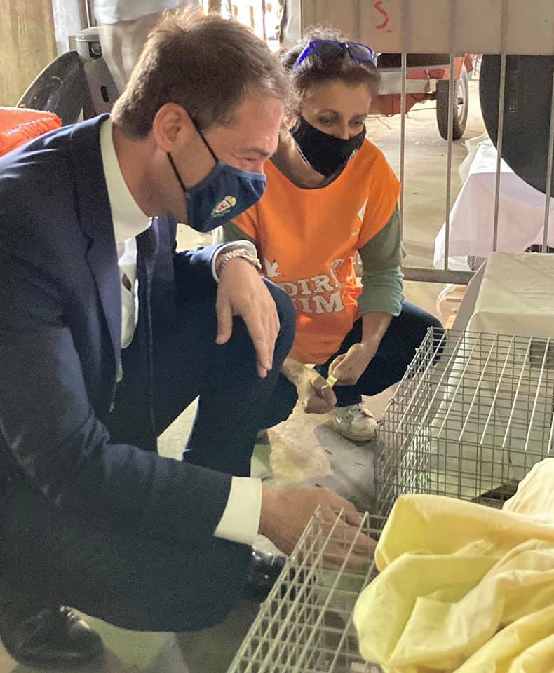 immagine di galleria 'Un progetto per fermare la riproduzione incontrollata delle nutrie'