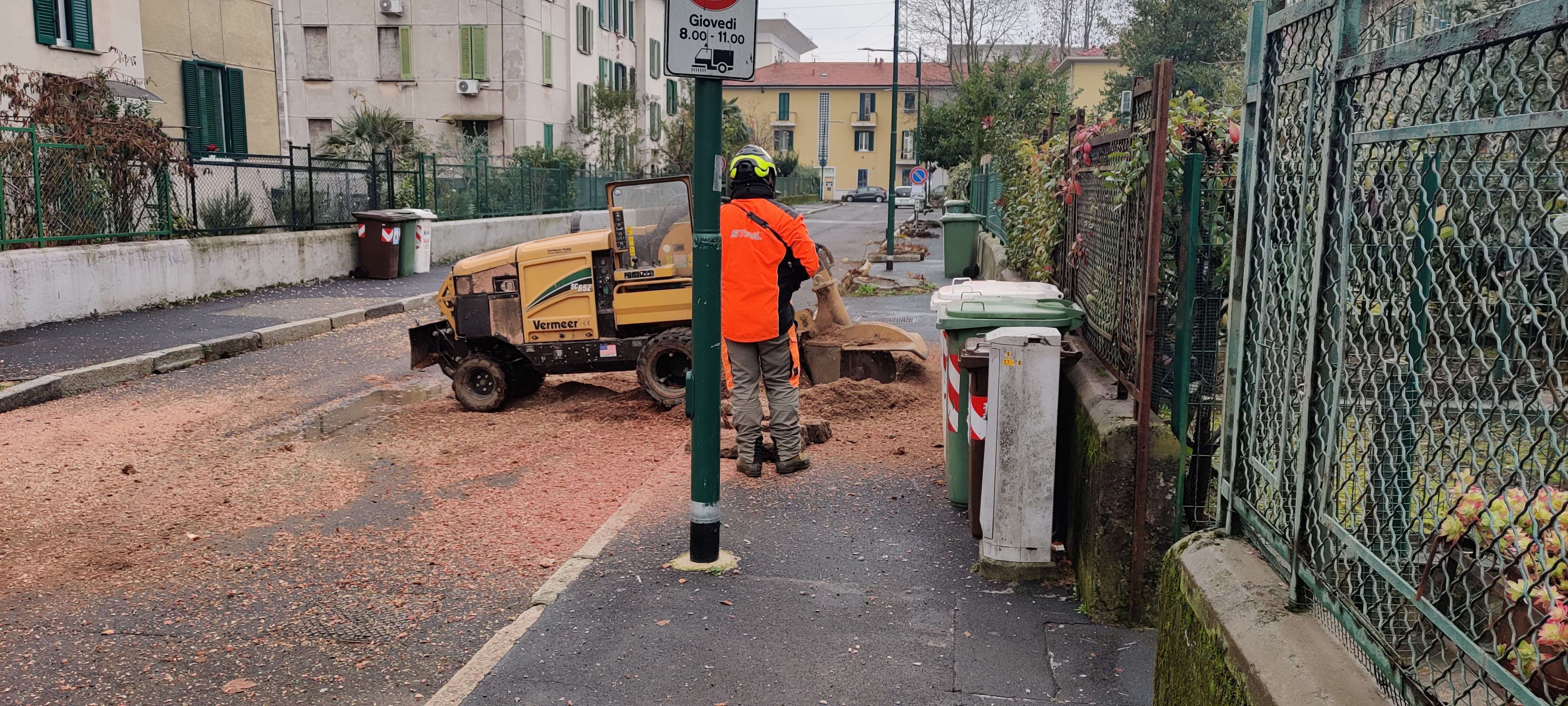 immagine di galleria