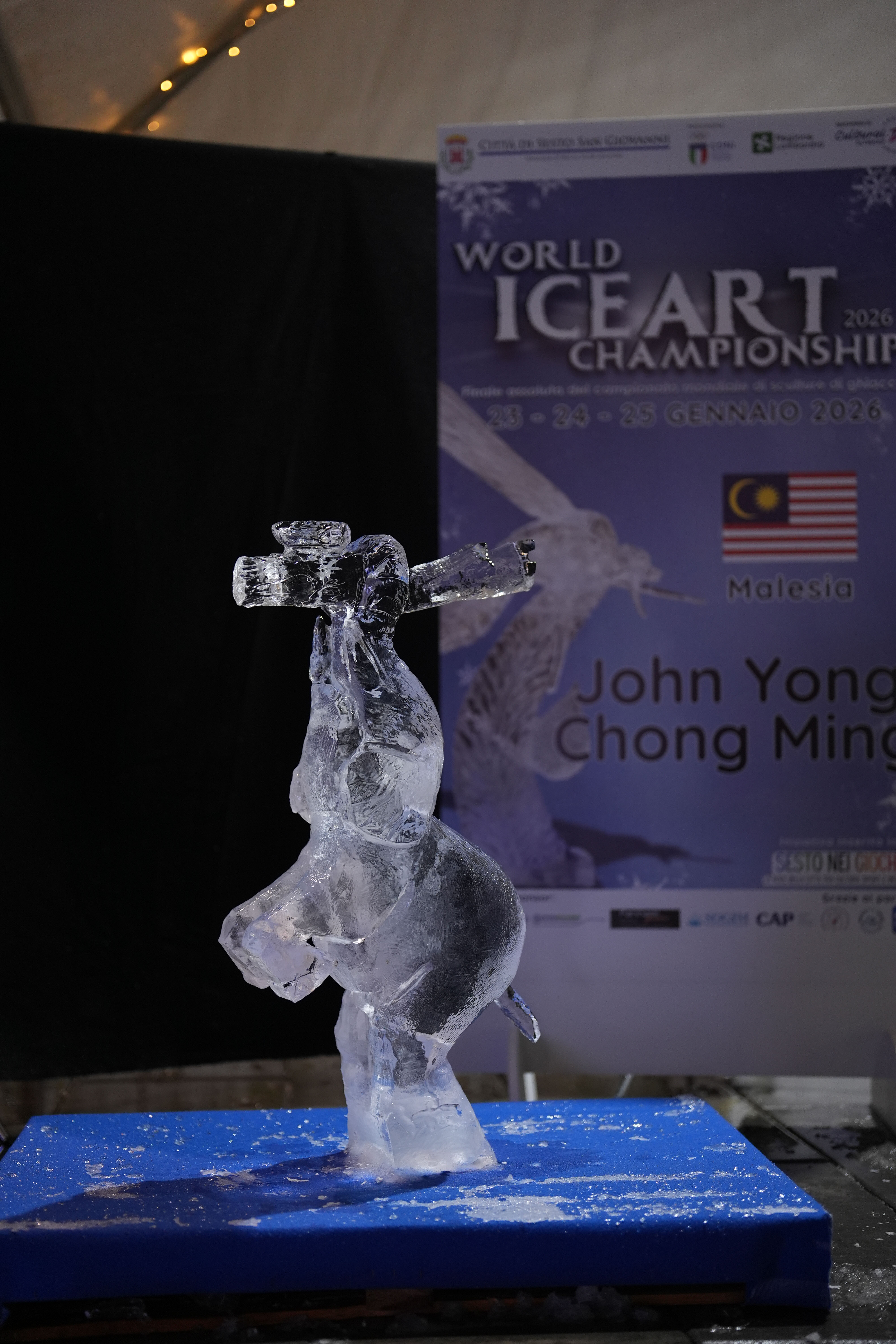 immagine di galleria 'Finale assoluta del Campionato “World Ice Art Championship”'