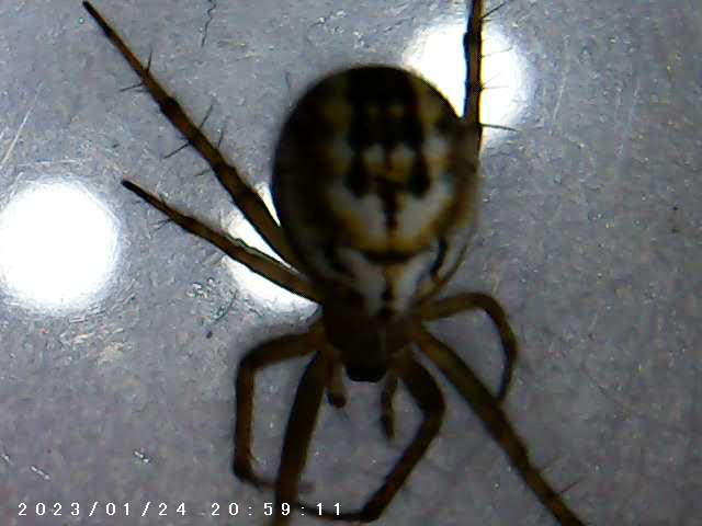 immagine di galleria