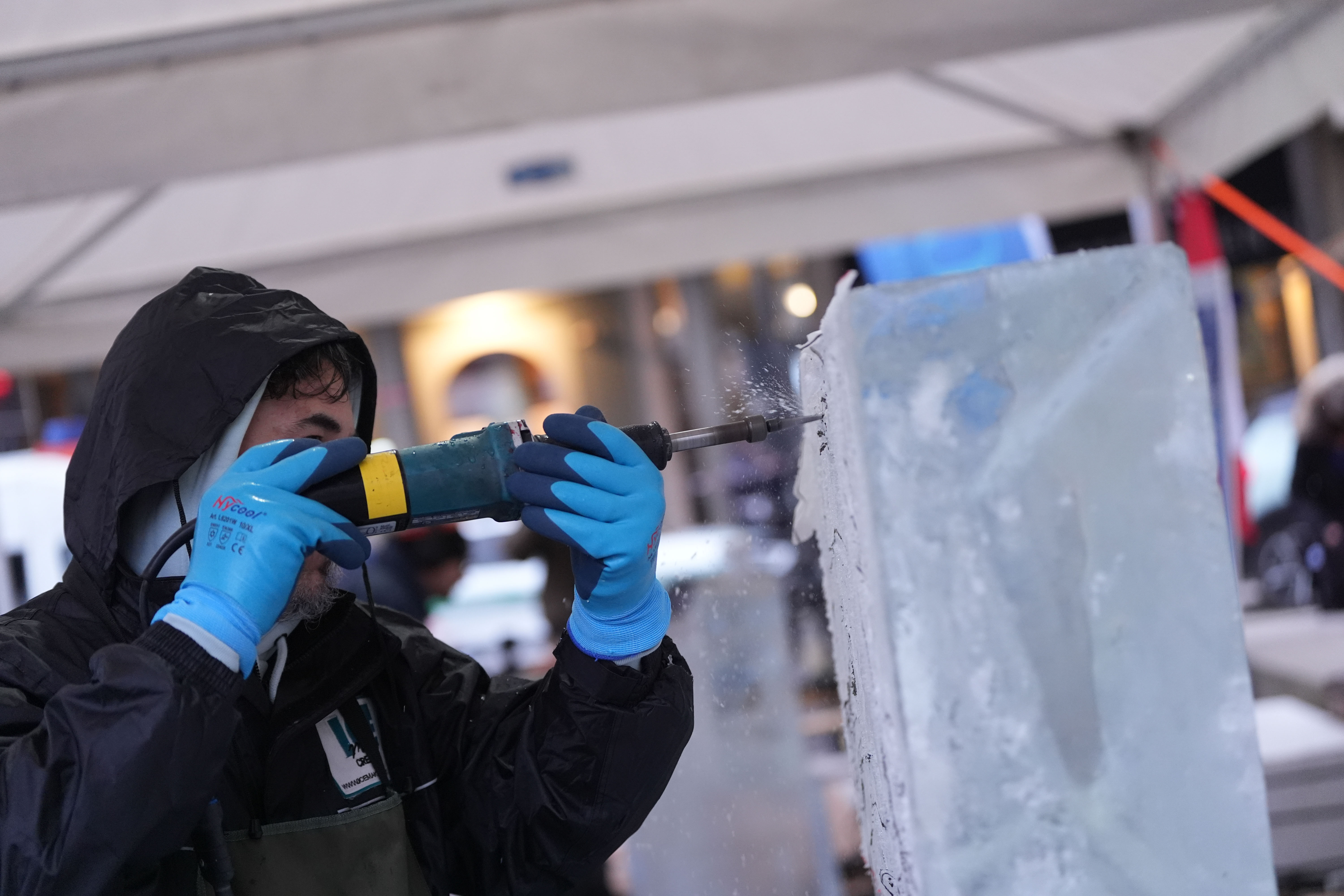 immagine di galleria