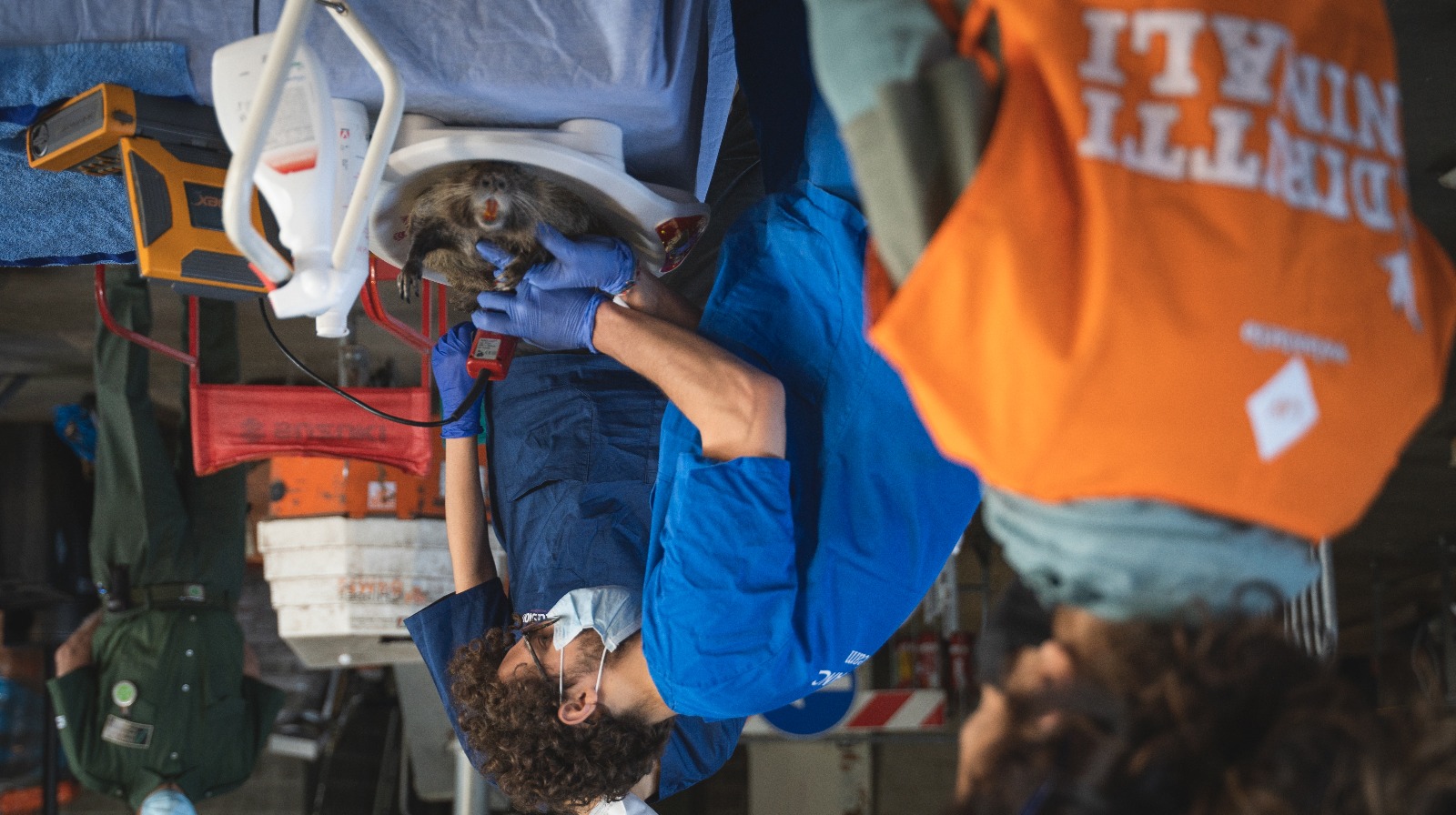 immagine di galleria 'Un progetto per fermare la riproduzione incontrollata delle nutrie'