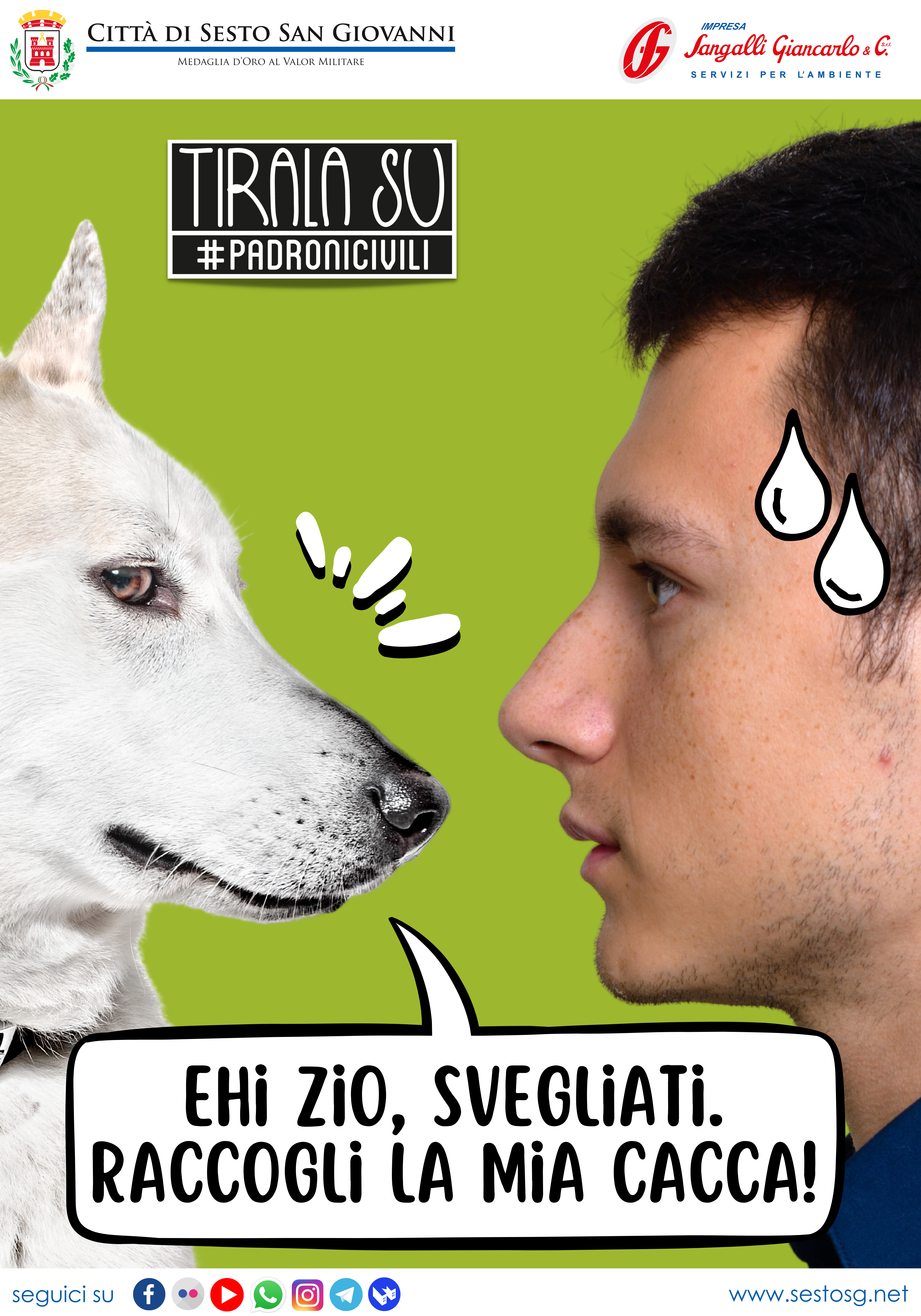 immagine di galleria