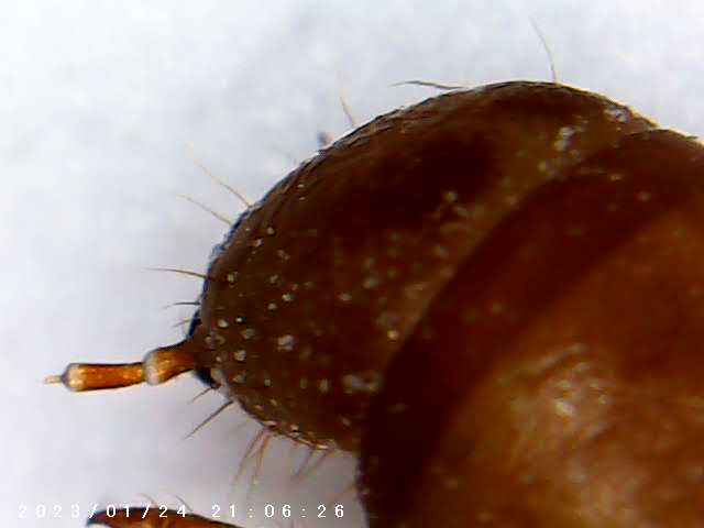 immagine di galleria