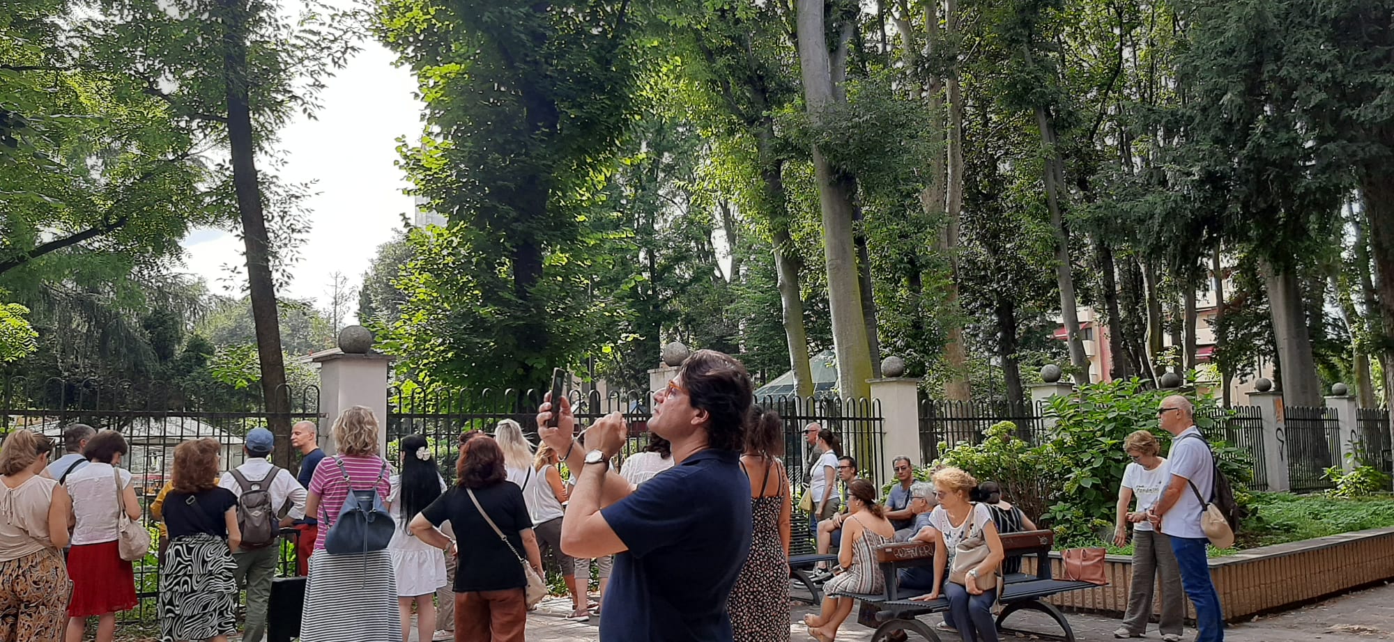 immagine di galleria