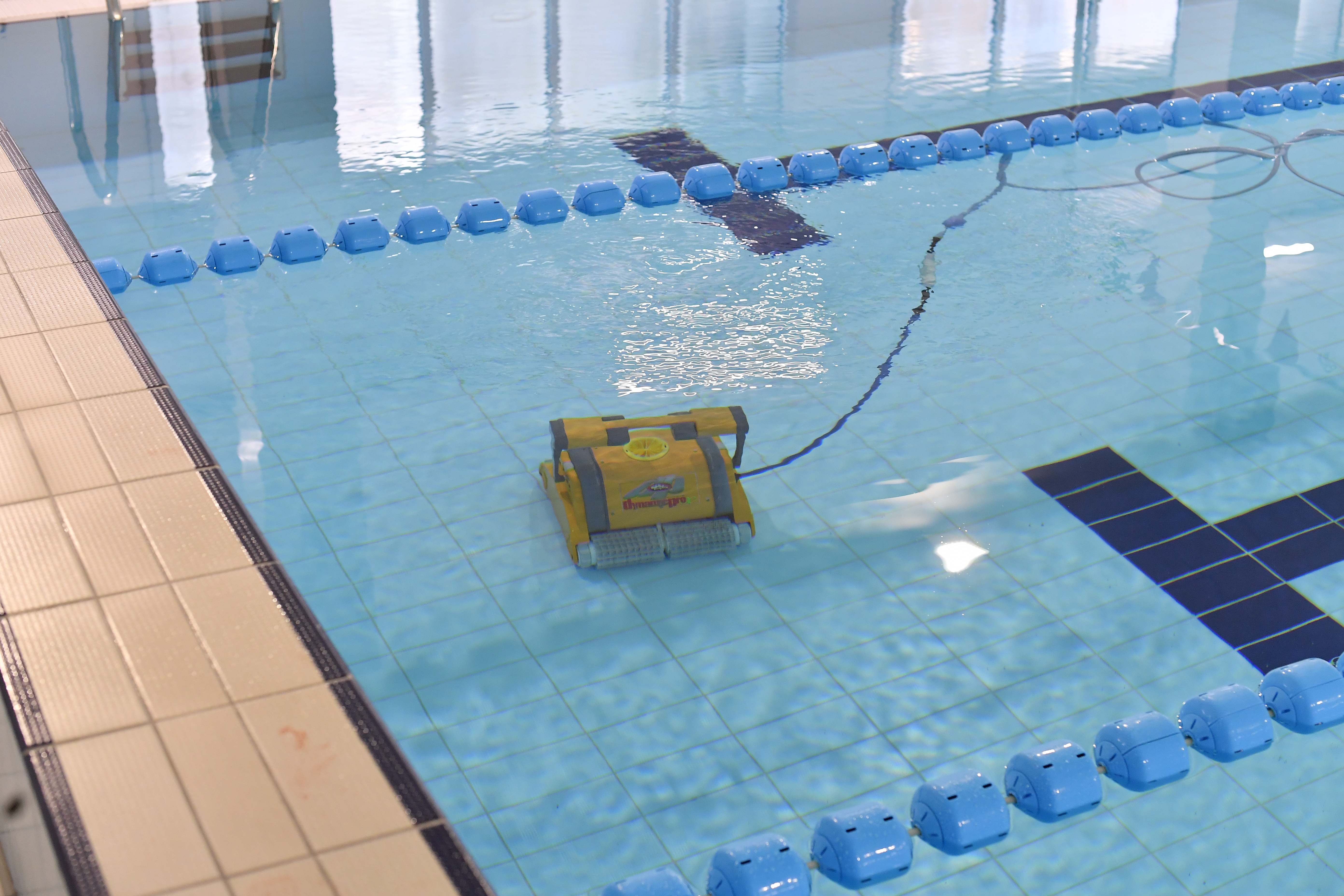 immagine di galleria