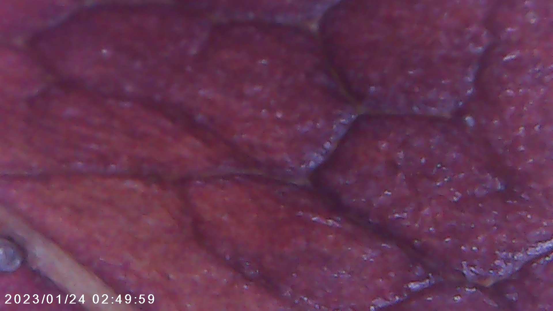 immagine di galleria