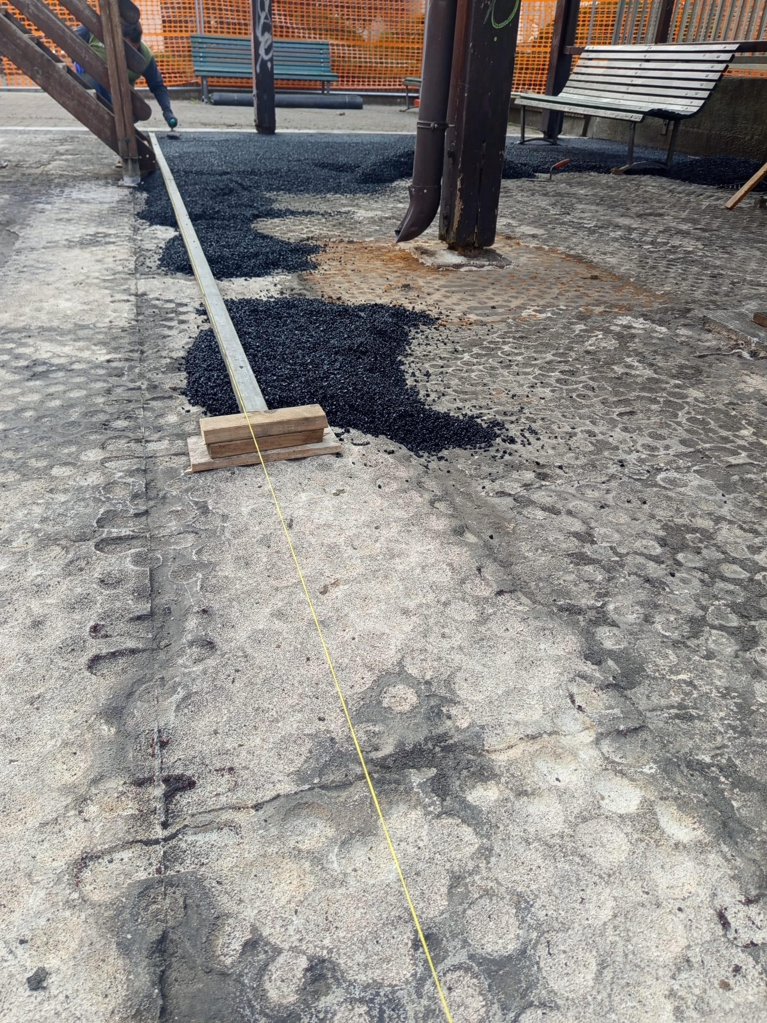 immagine di galleria