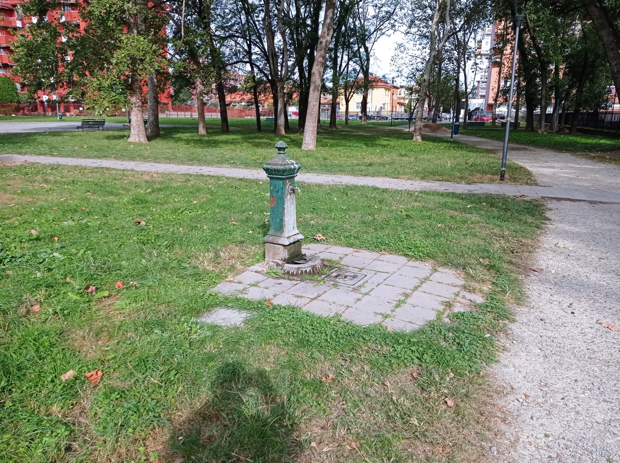 immagine di galleria