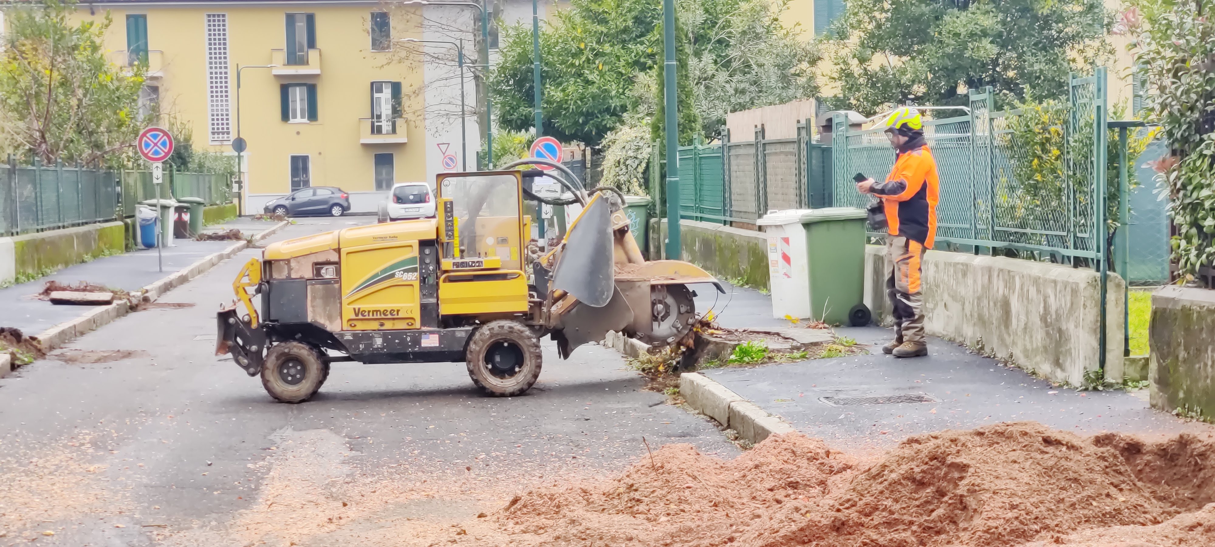 immagine di galleria