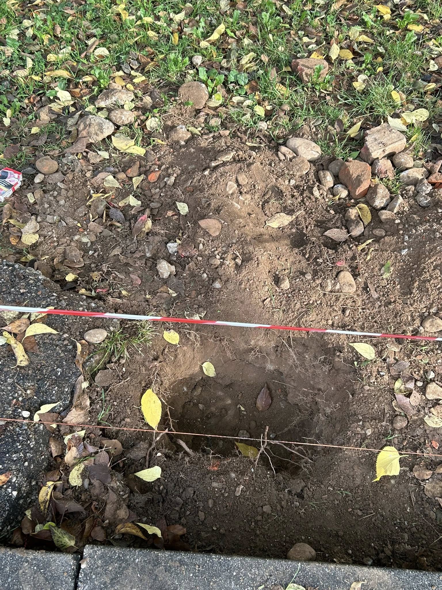 immagine di galleria