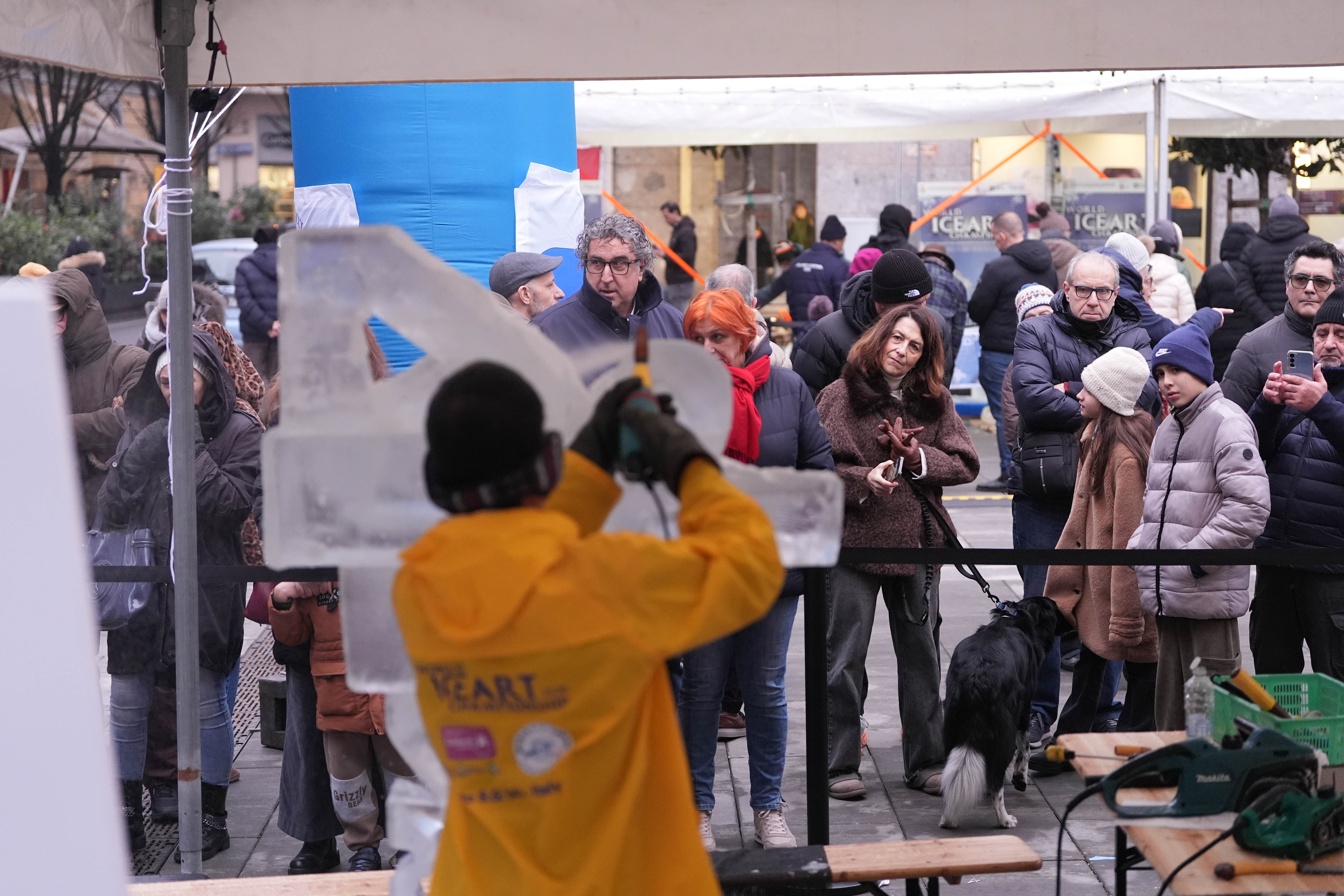 immagine di galleria