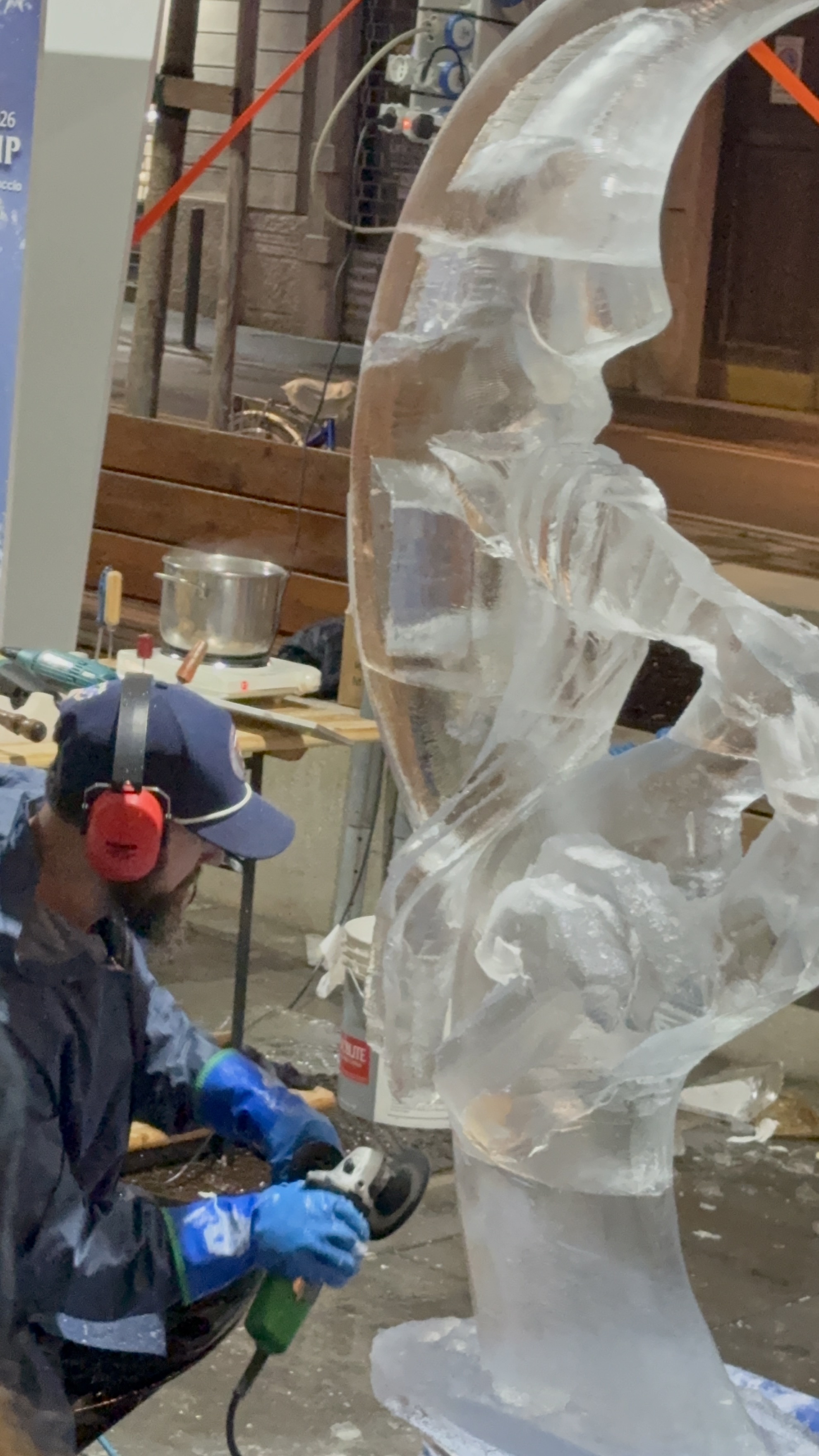 immagine di galleria