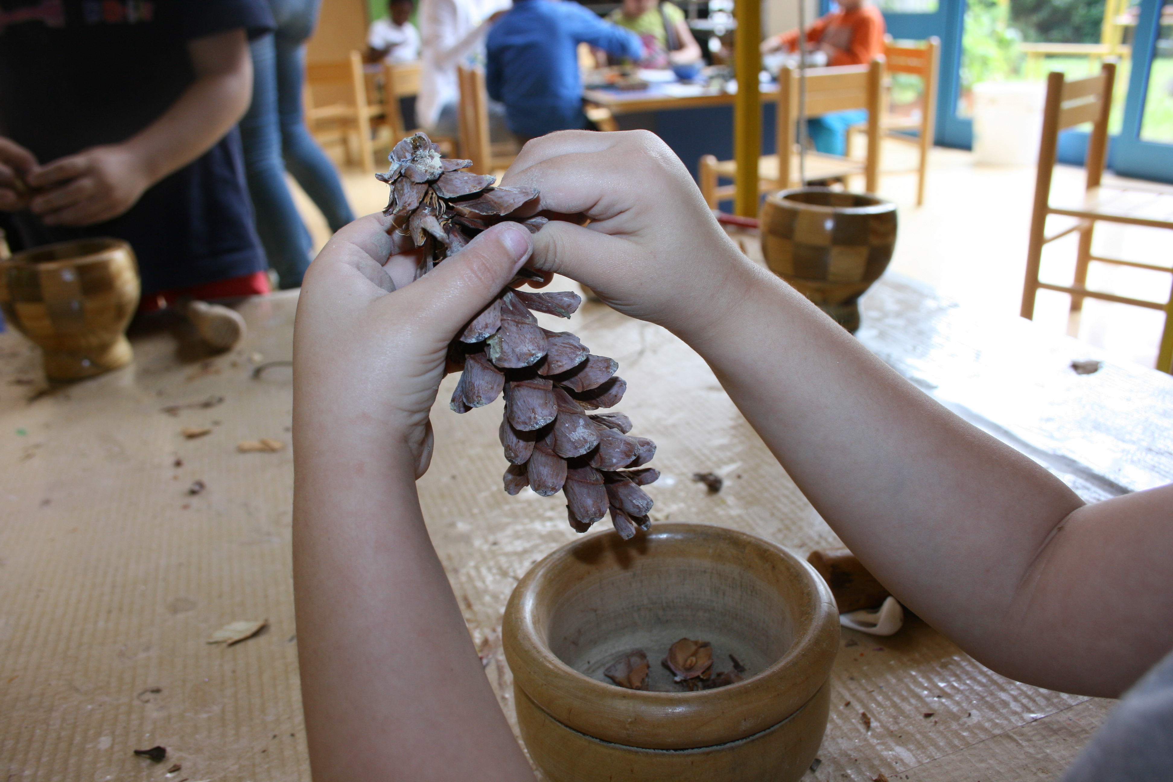 immagine di galleria 'GiocheriaLaboratori: le attività'