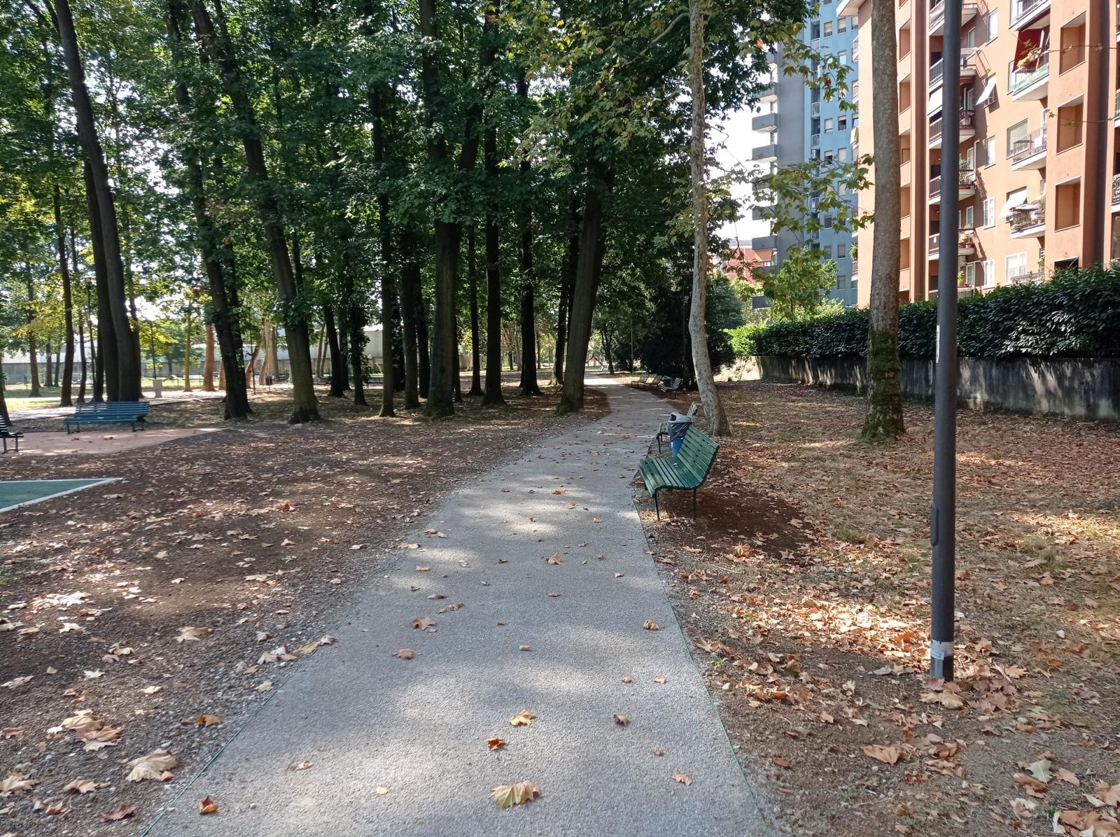 immagine di galleria