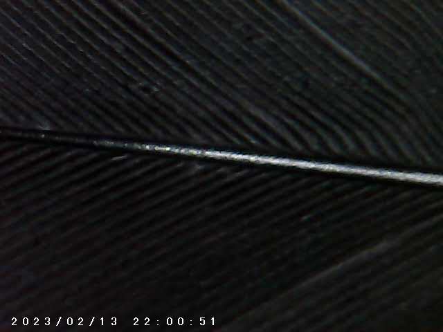 immagine di galleria