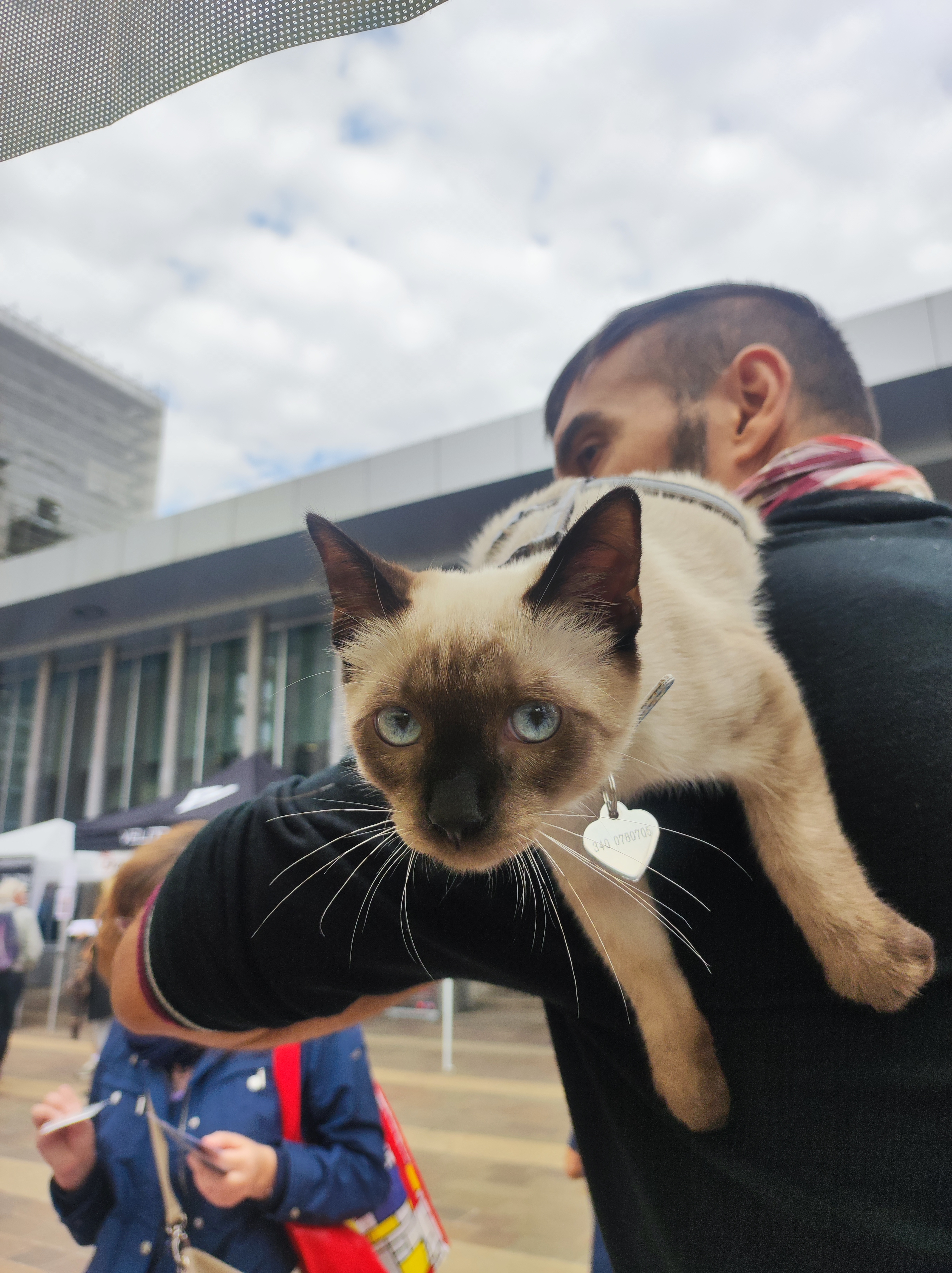 immagine di galleria 'Festa dello Sport, del Volontariato e della Salute 2024'