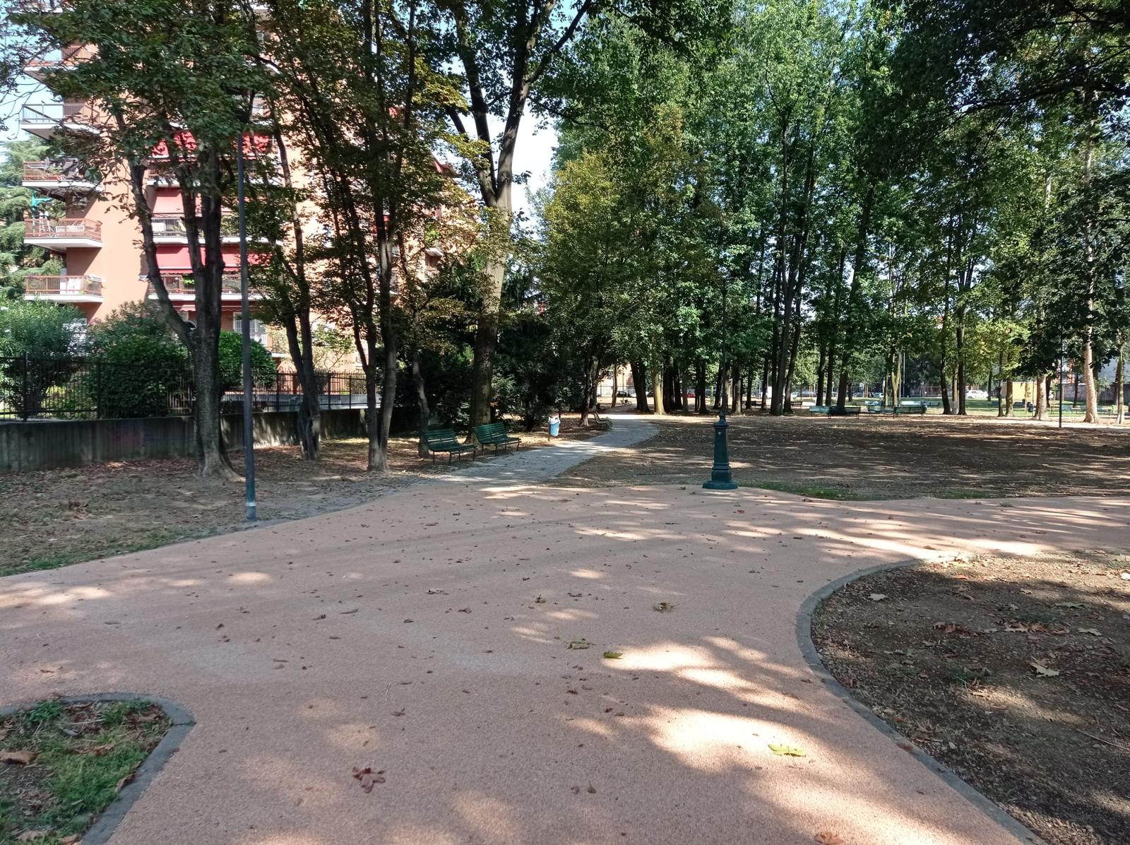 immagine di galleria