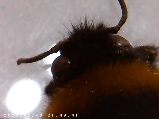 immagine di galleria