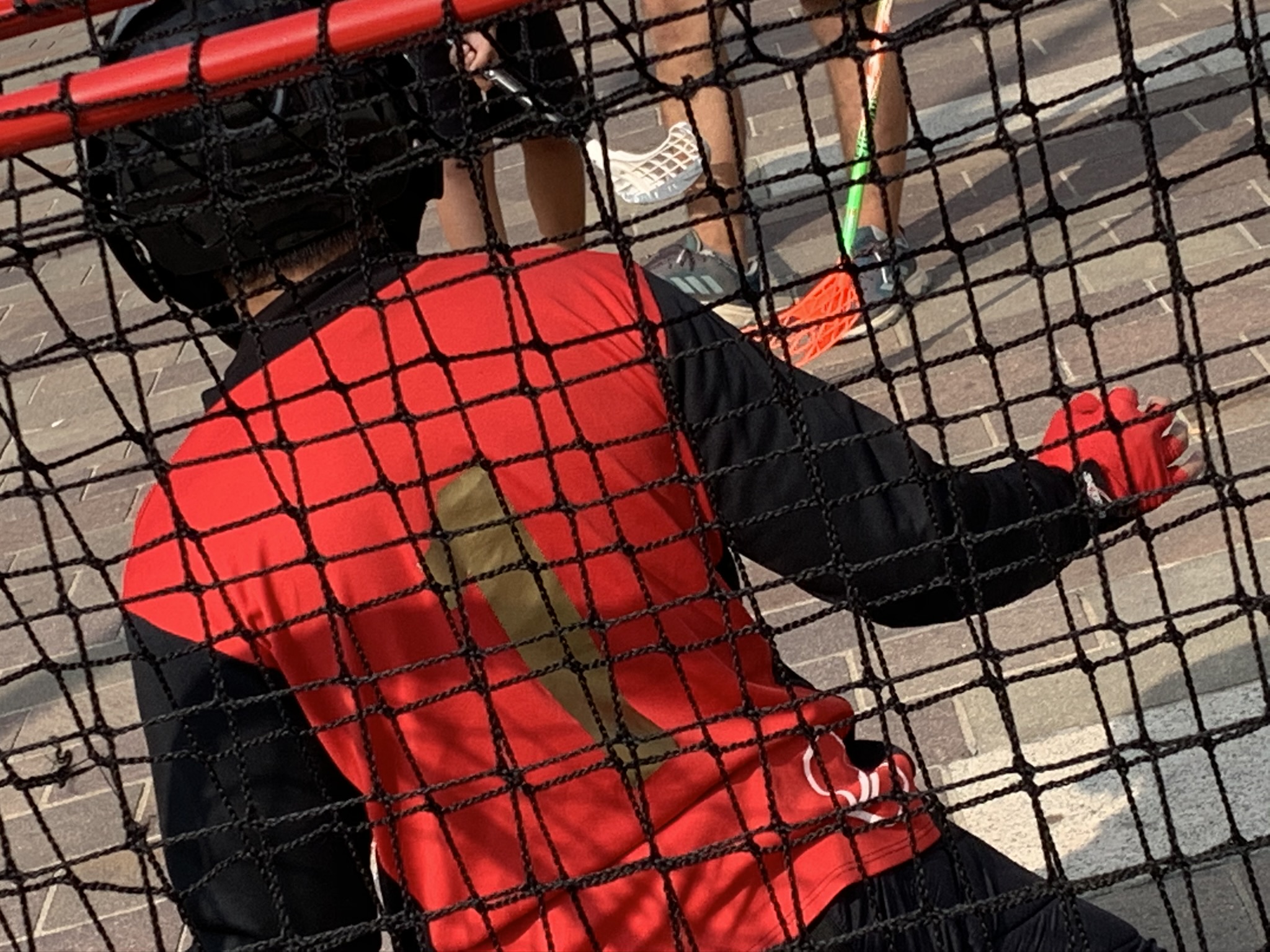 immagine di galleria