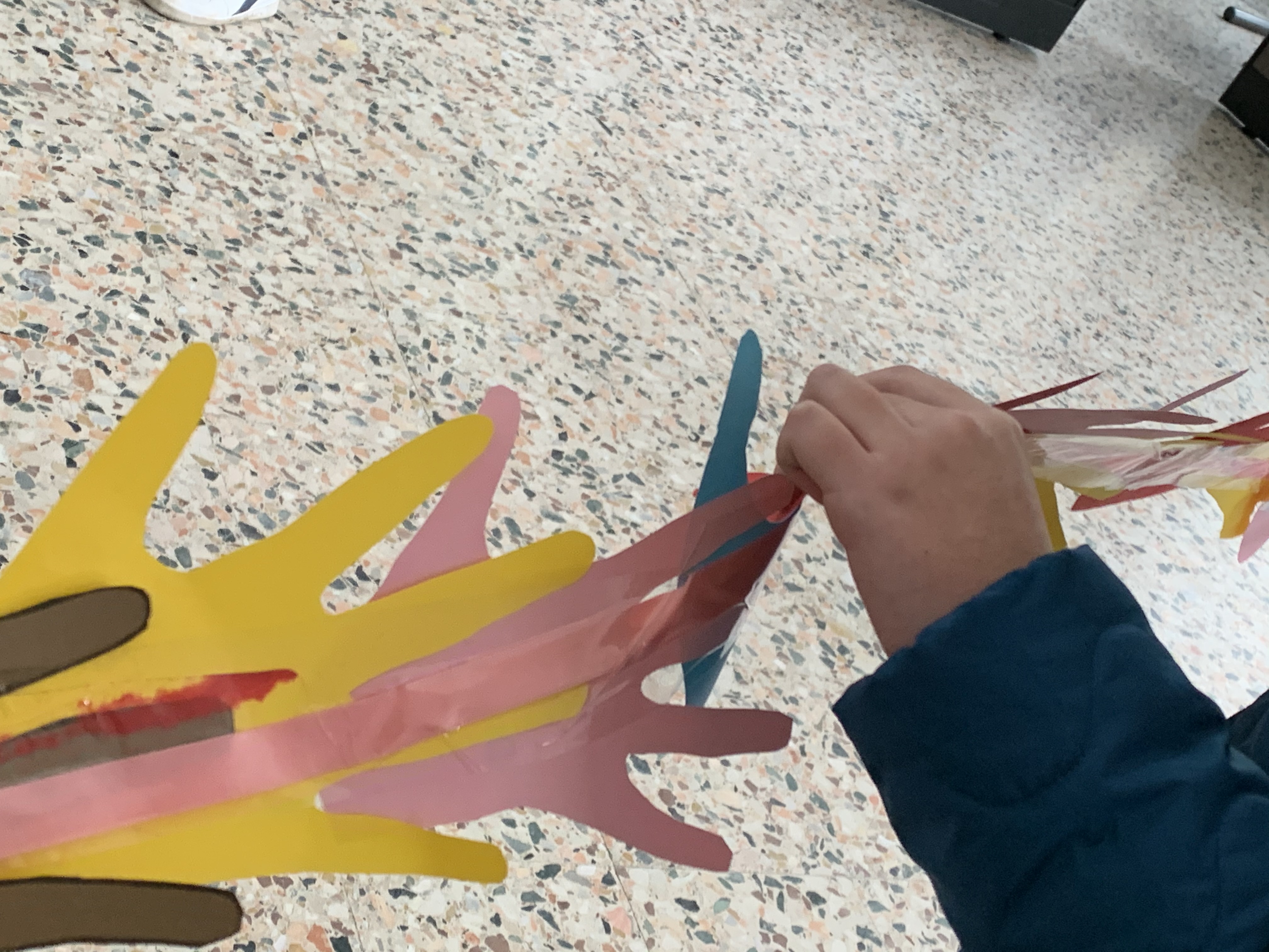 immagine di galleria