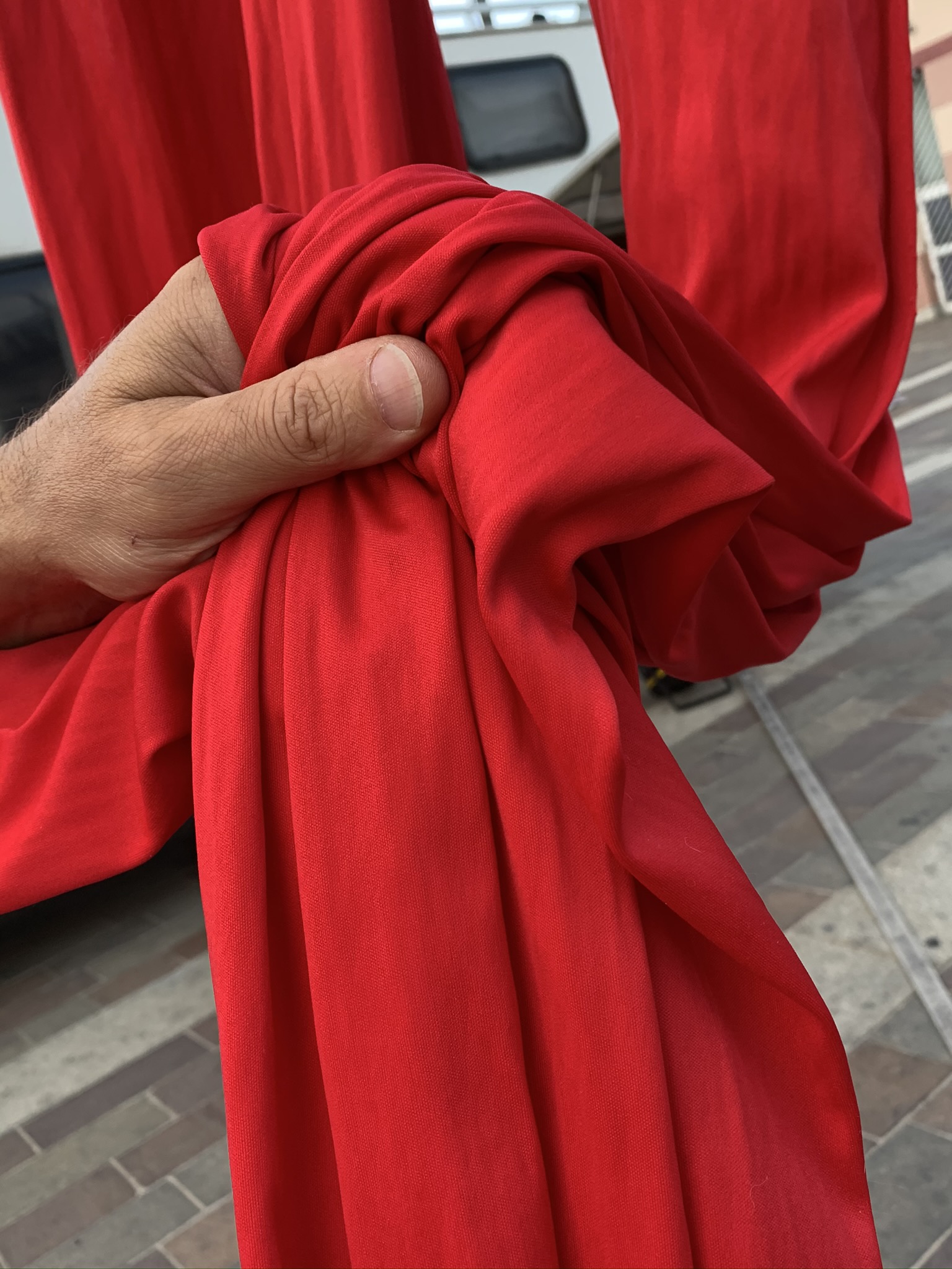 immagine di galleria