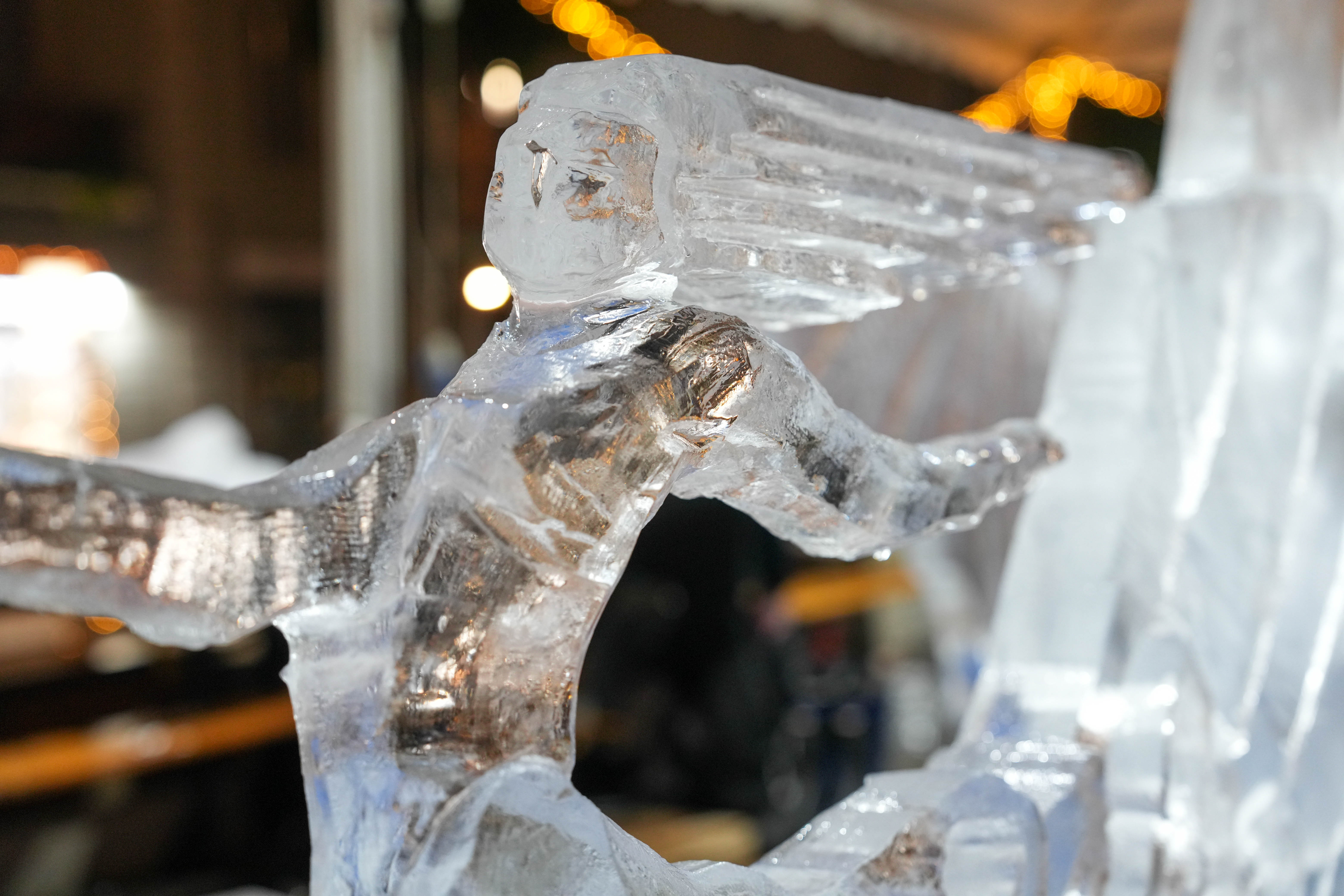 immagine di galleria 'World Ice Art Championship'