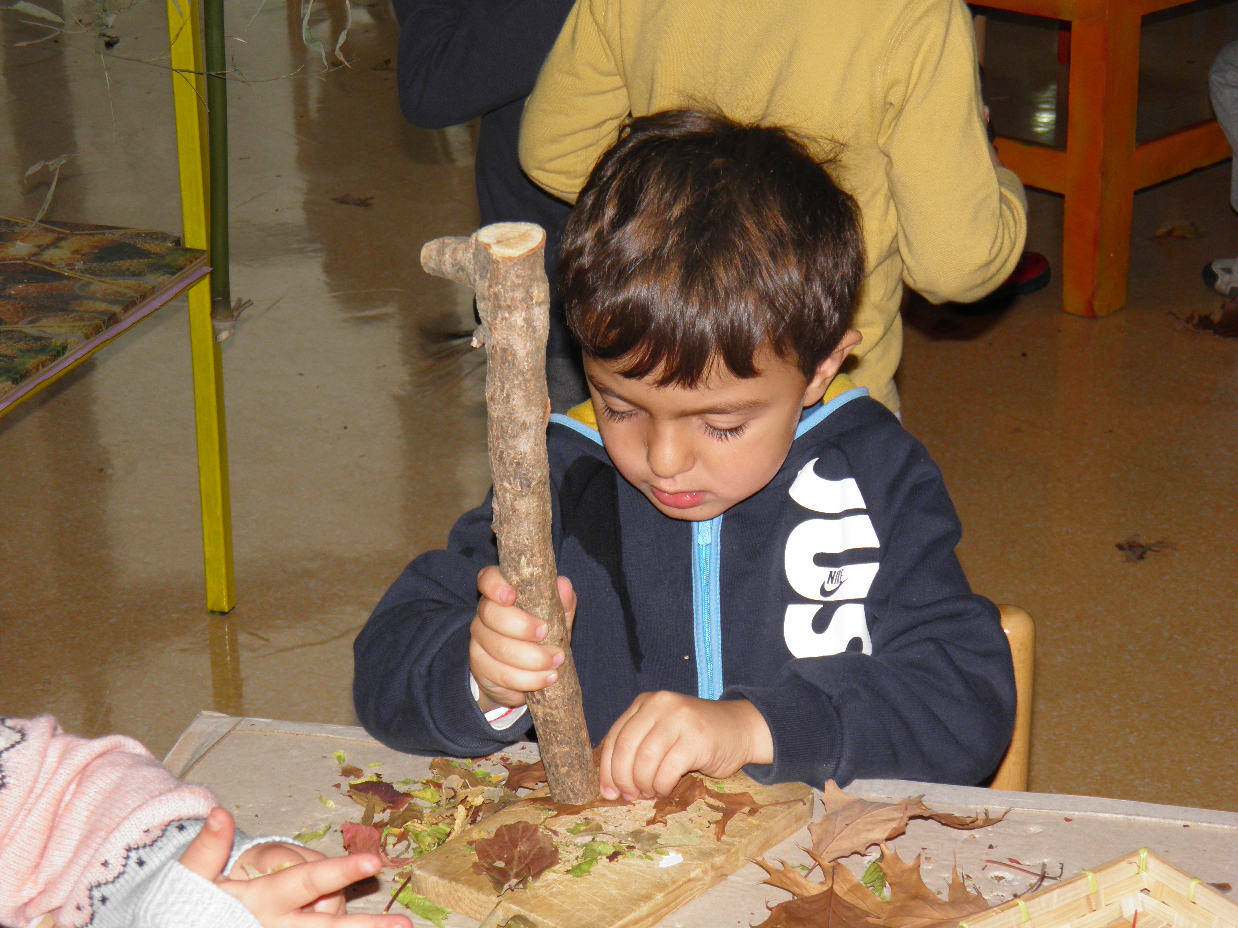 immagine di galleria