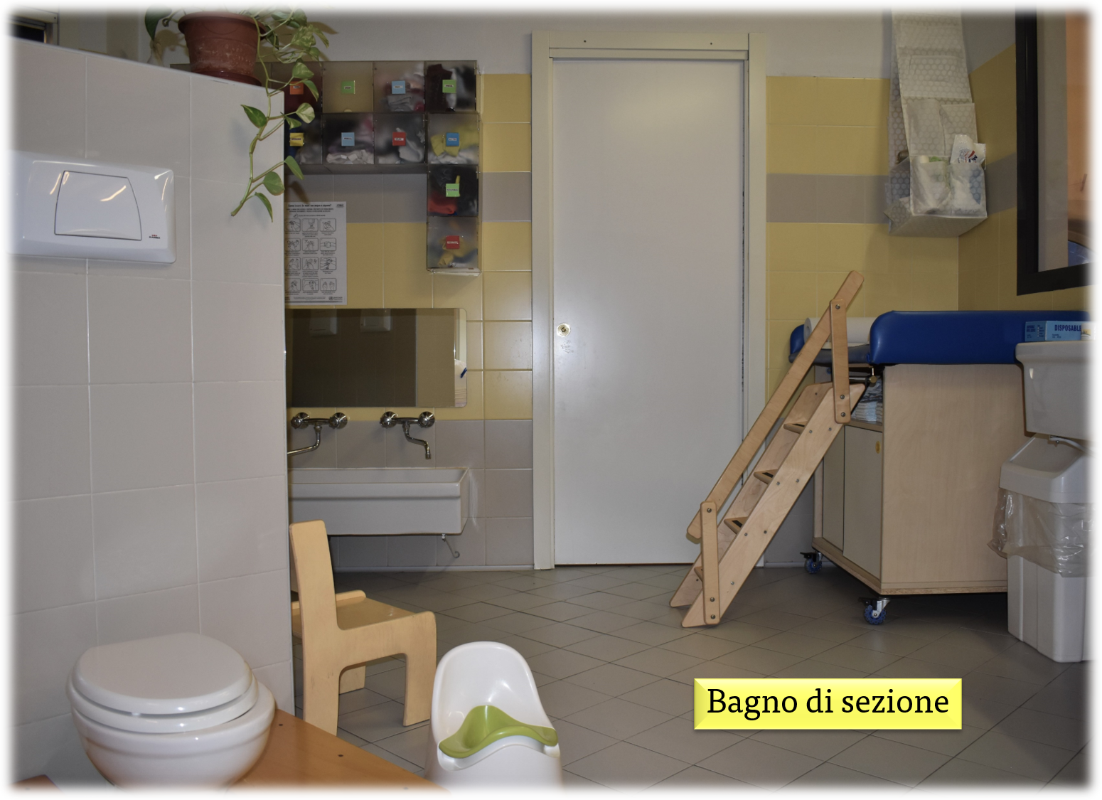 immagine di galleria