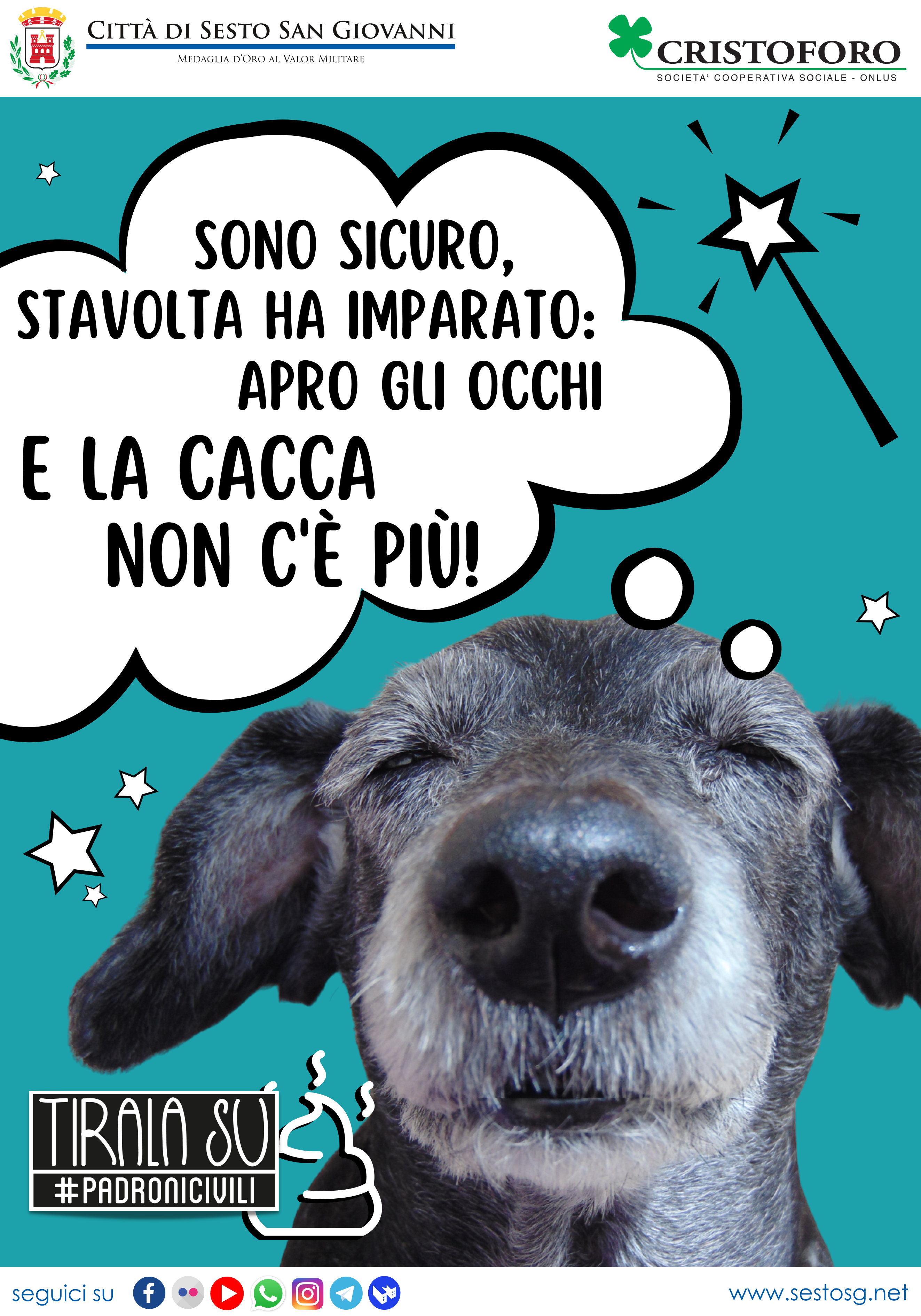 immagine di galleria