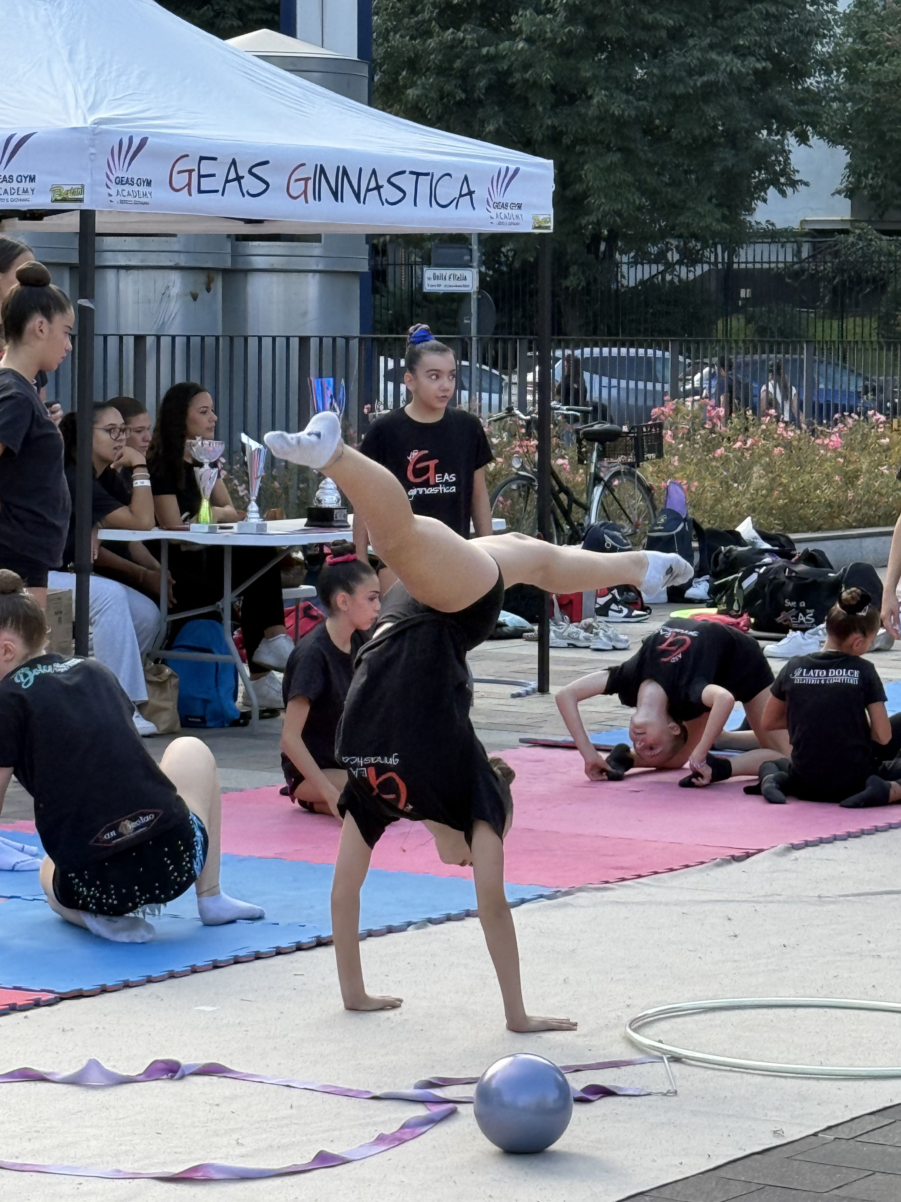 immagine di galleria