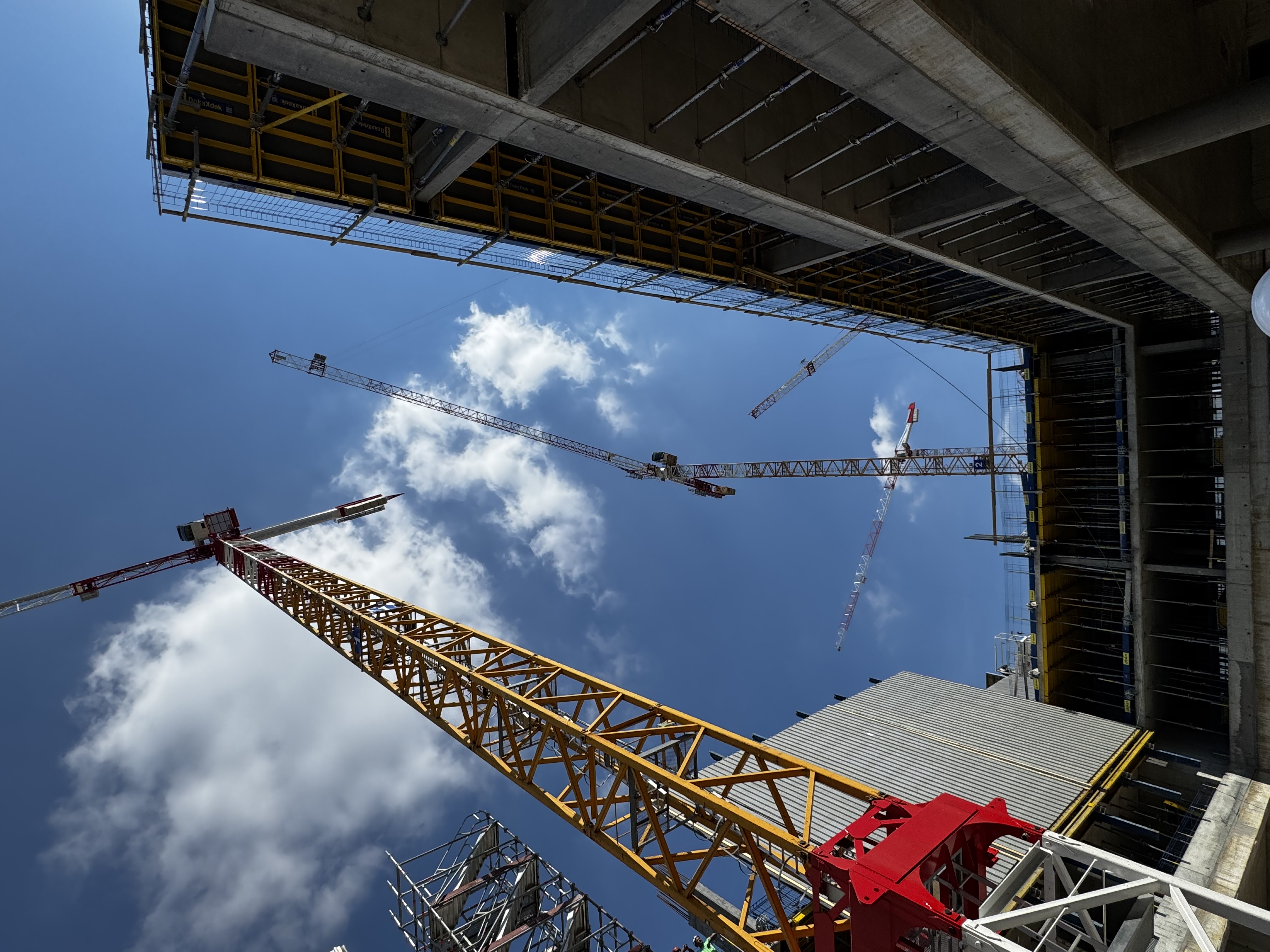 immagine di galleria