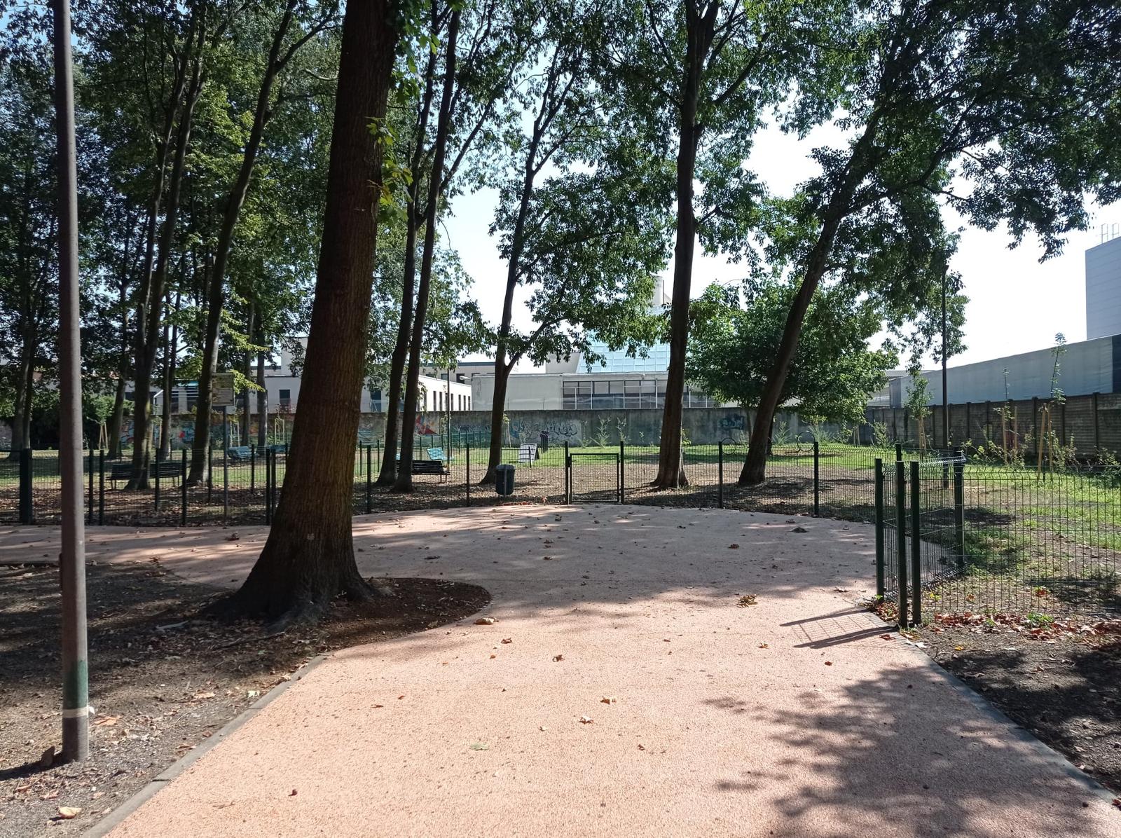 immagine di galleria