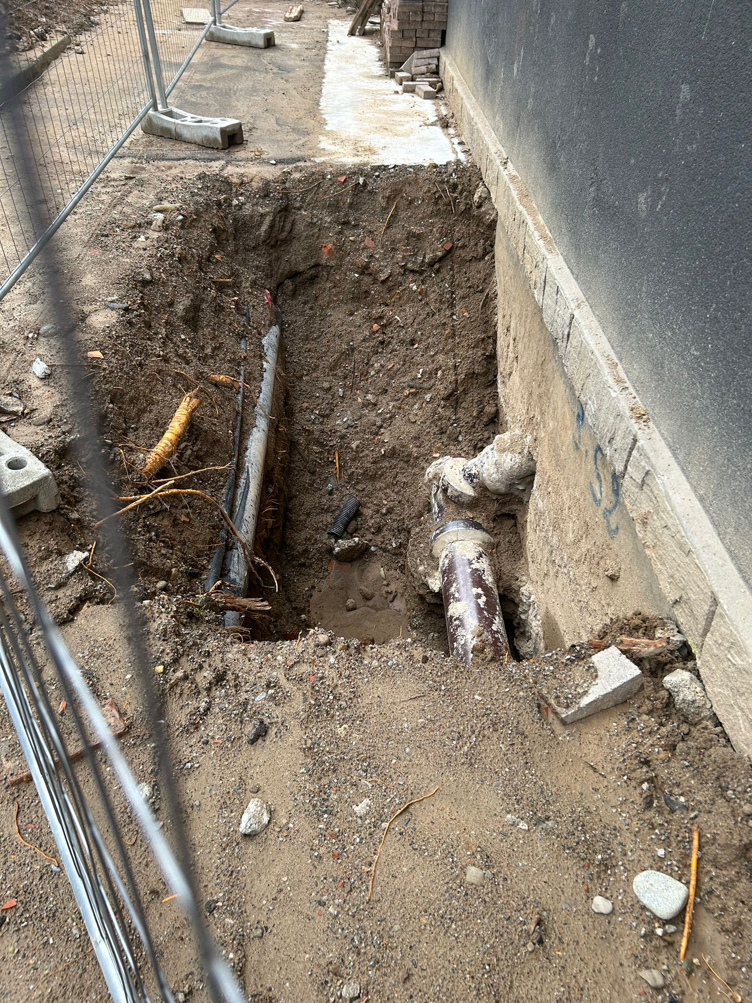 immagine di galleria