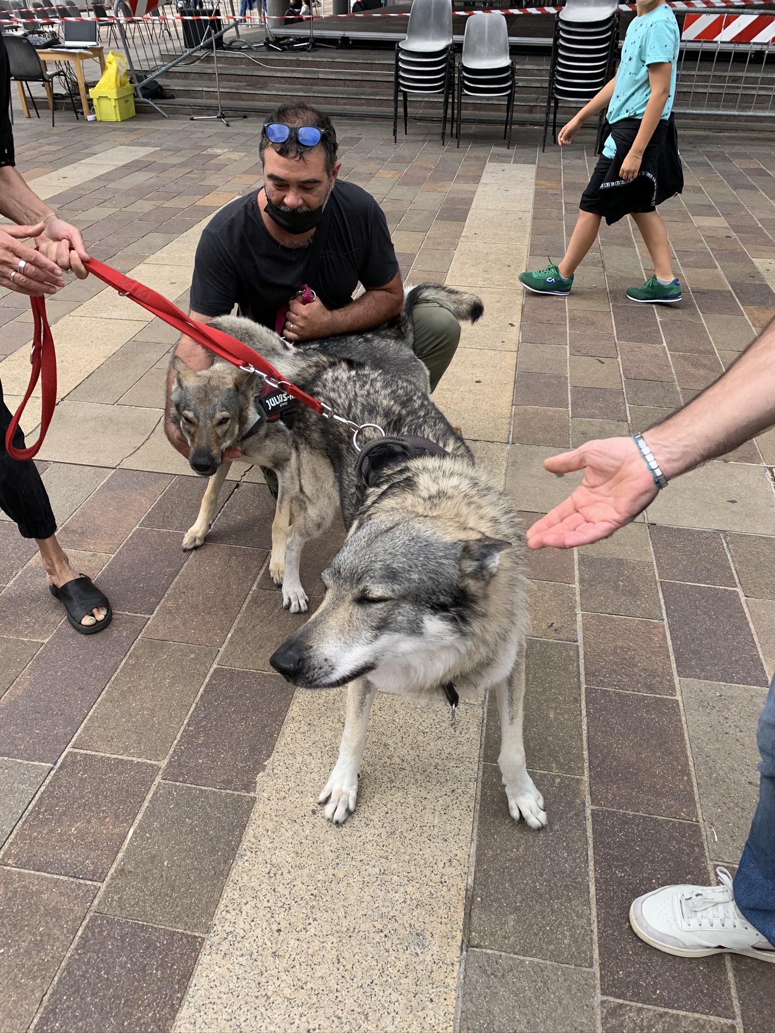 immagine di galleria