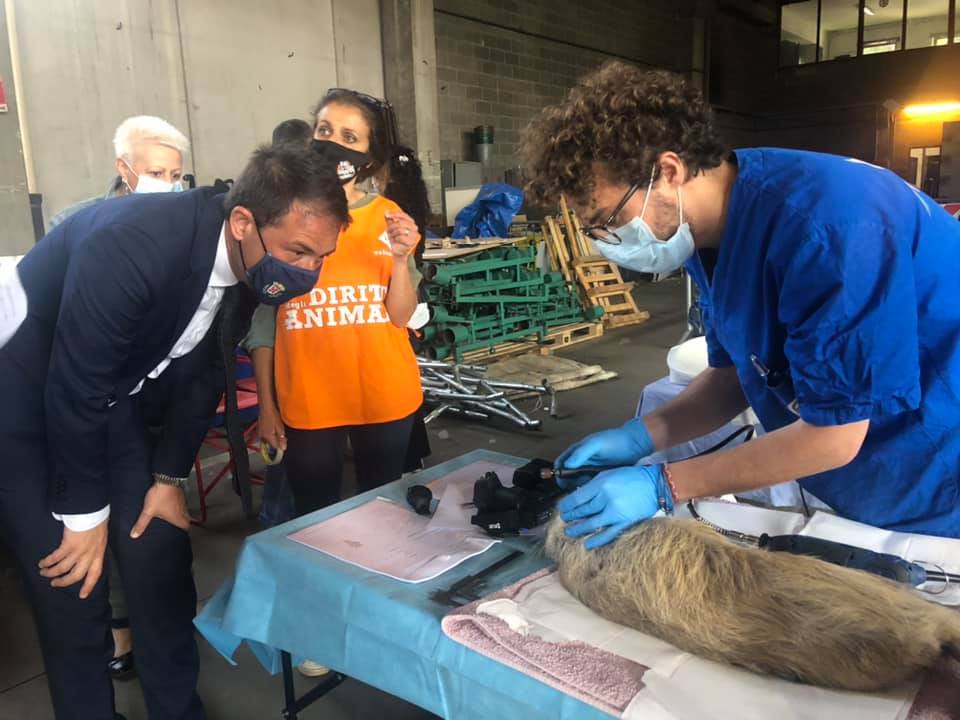 immagine di galleria