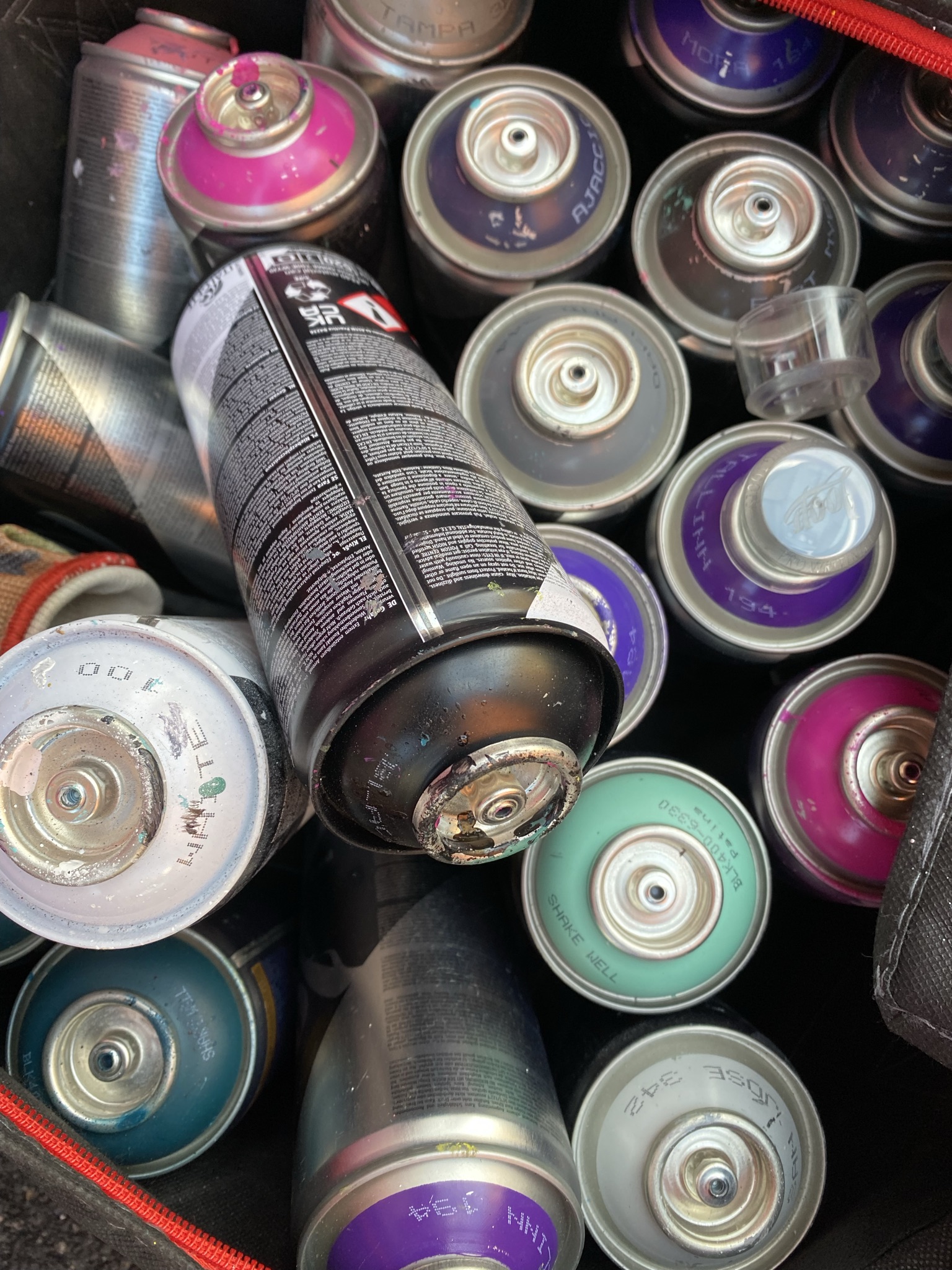 immagine di galleria