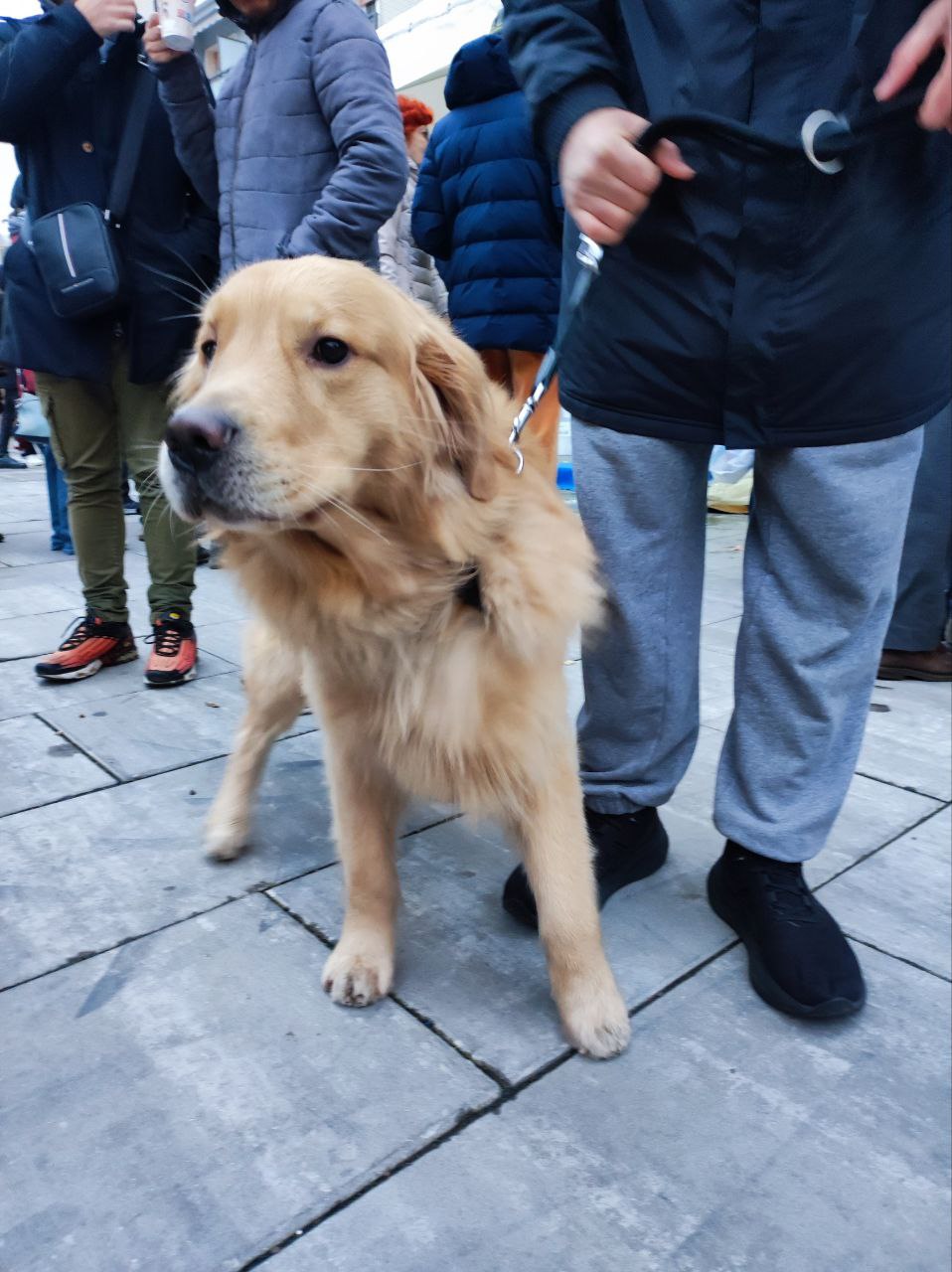 immagine di galleria 'World Ice Art Championship'