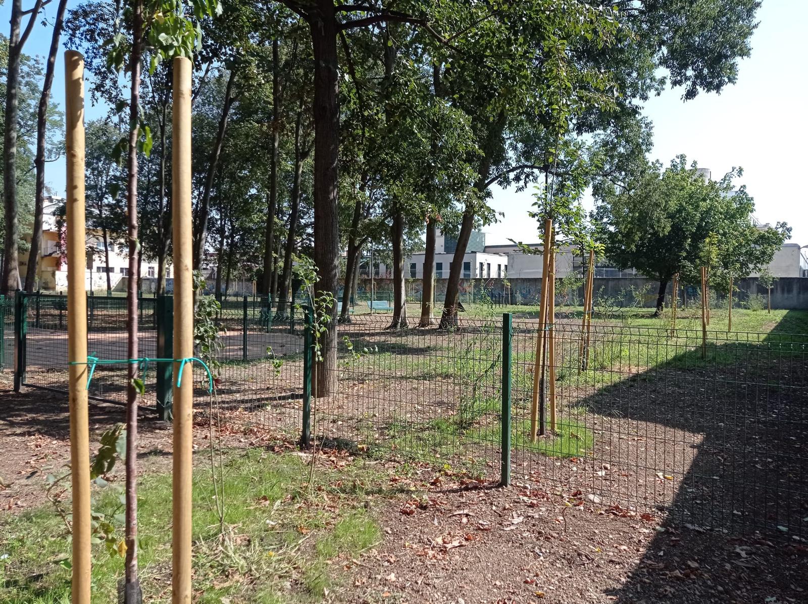 immagine di galleria 'Area Agility Dog – giardino Duse via Pisa'