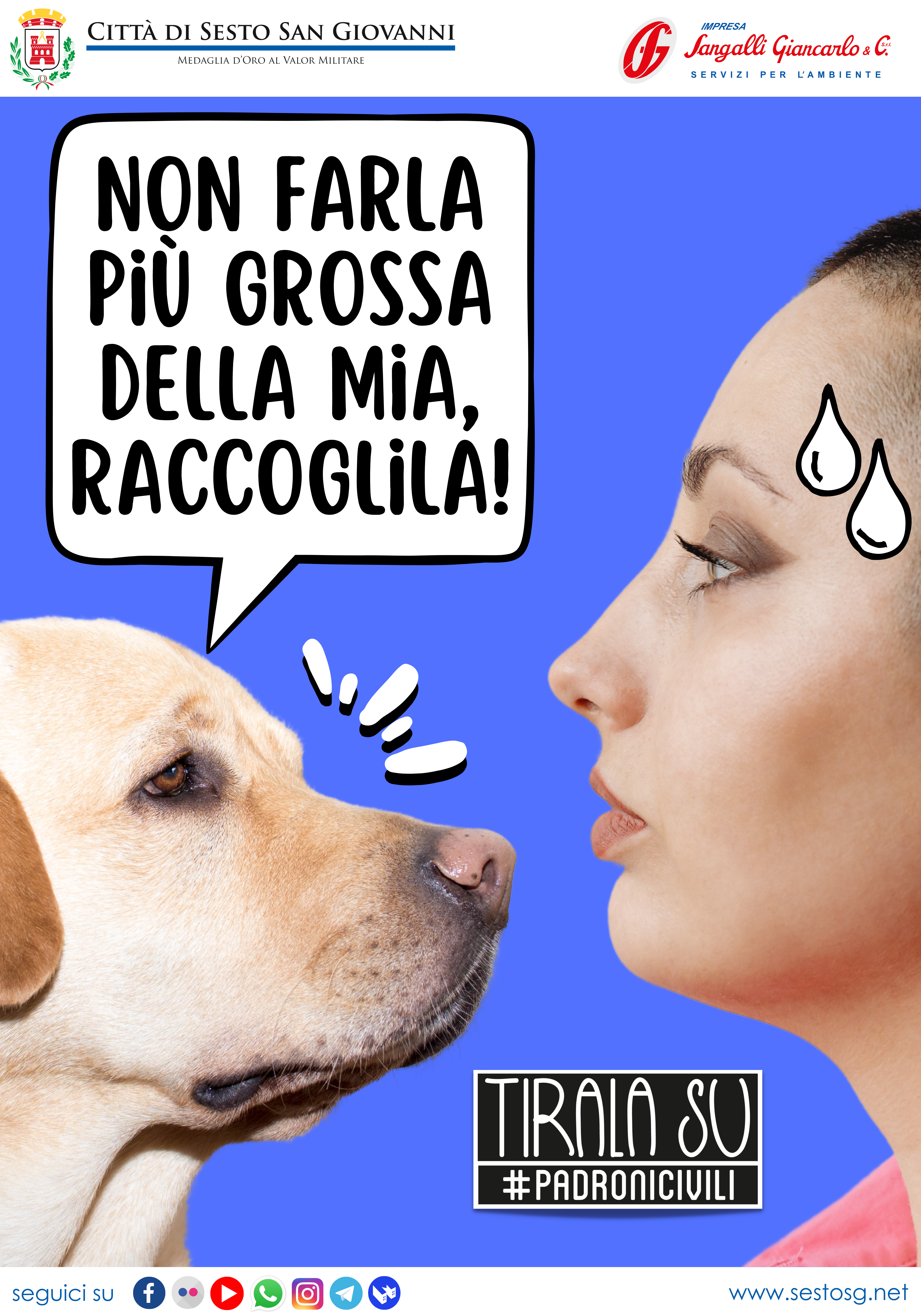 immagine di galleria