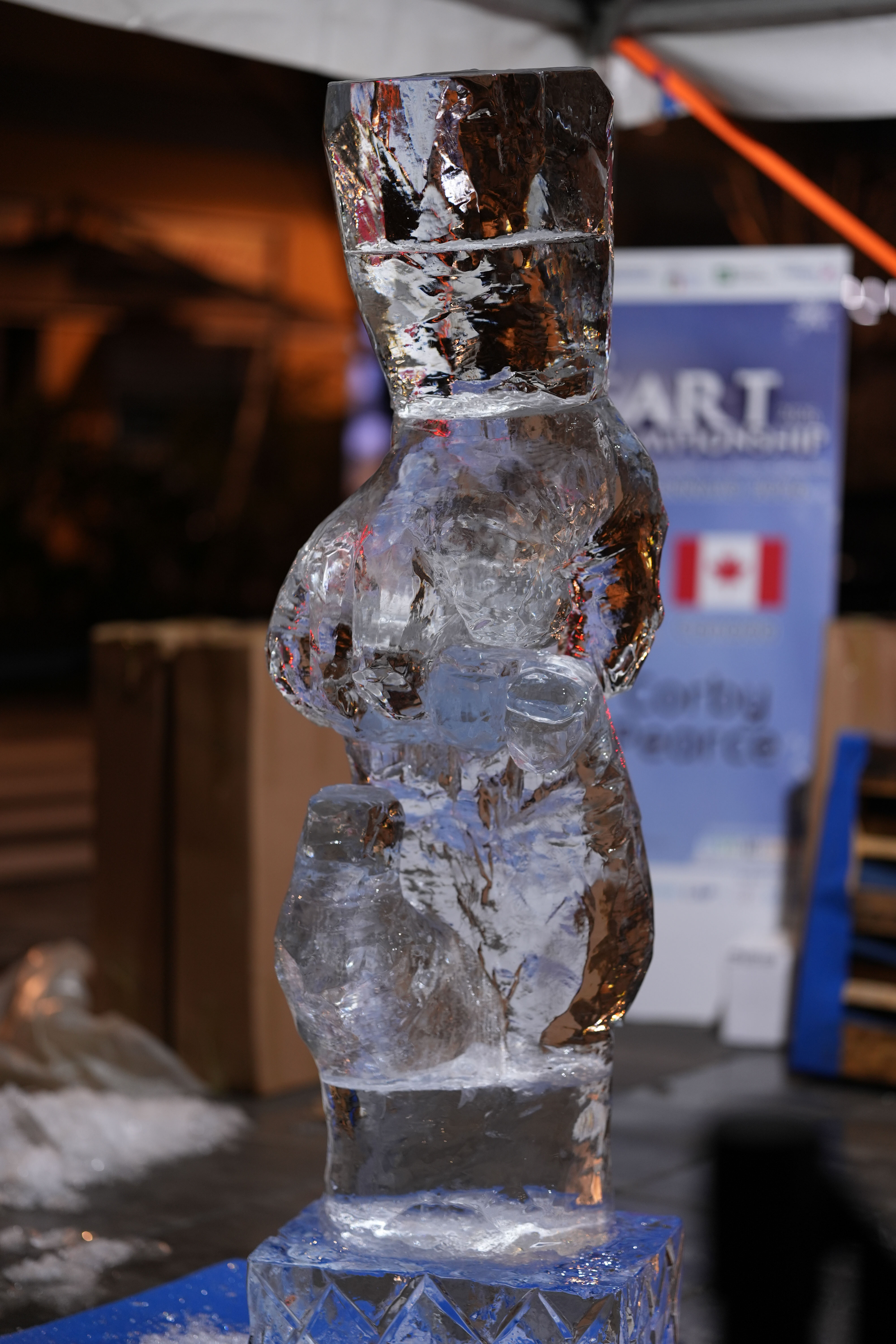 immagine di galleria 'Finale assoluta del Campionato “World Ice Art Championship”'