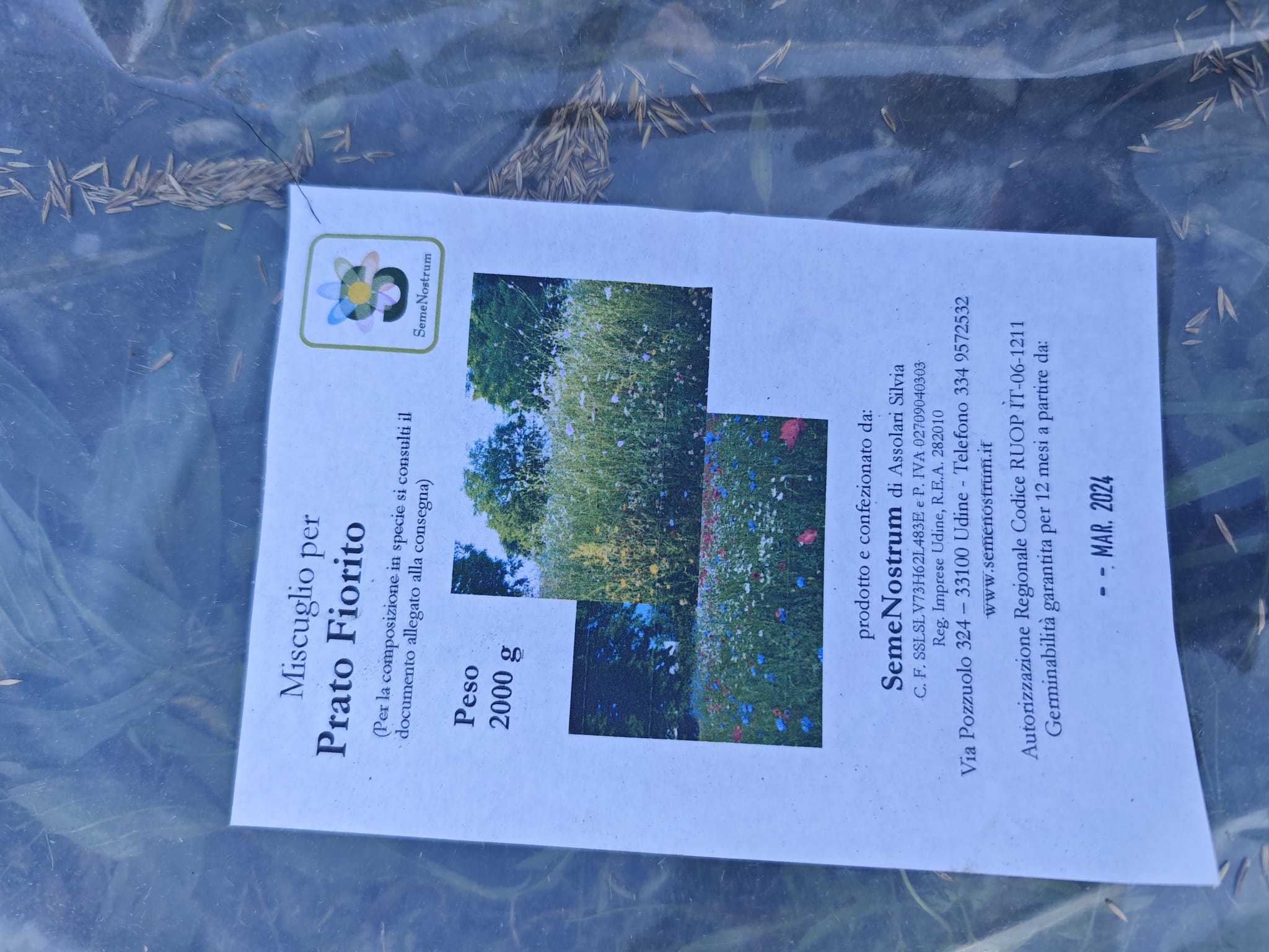 immagine di galleria 'Prato fiorito alla Bergamella'