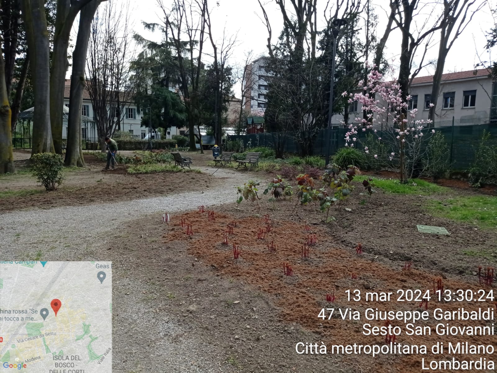 immagine di galleria 'Restyling del giardino di villa Mylius - prima parte'